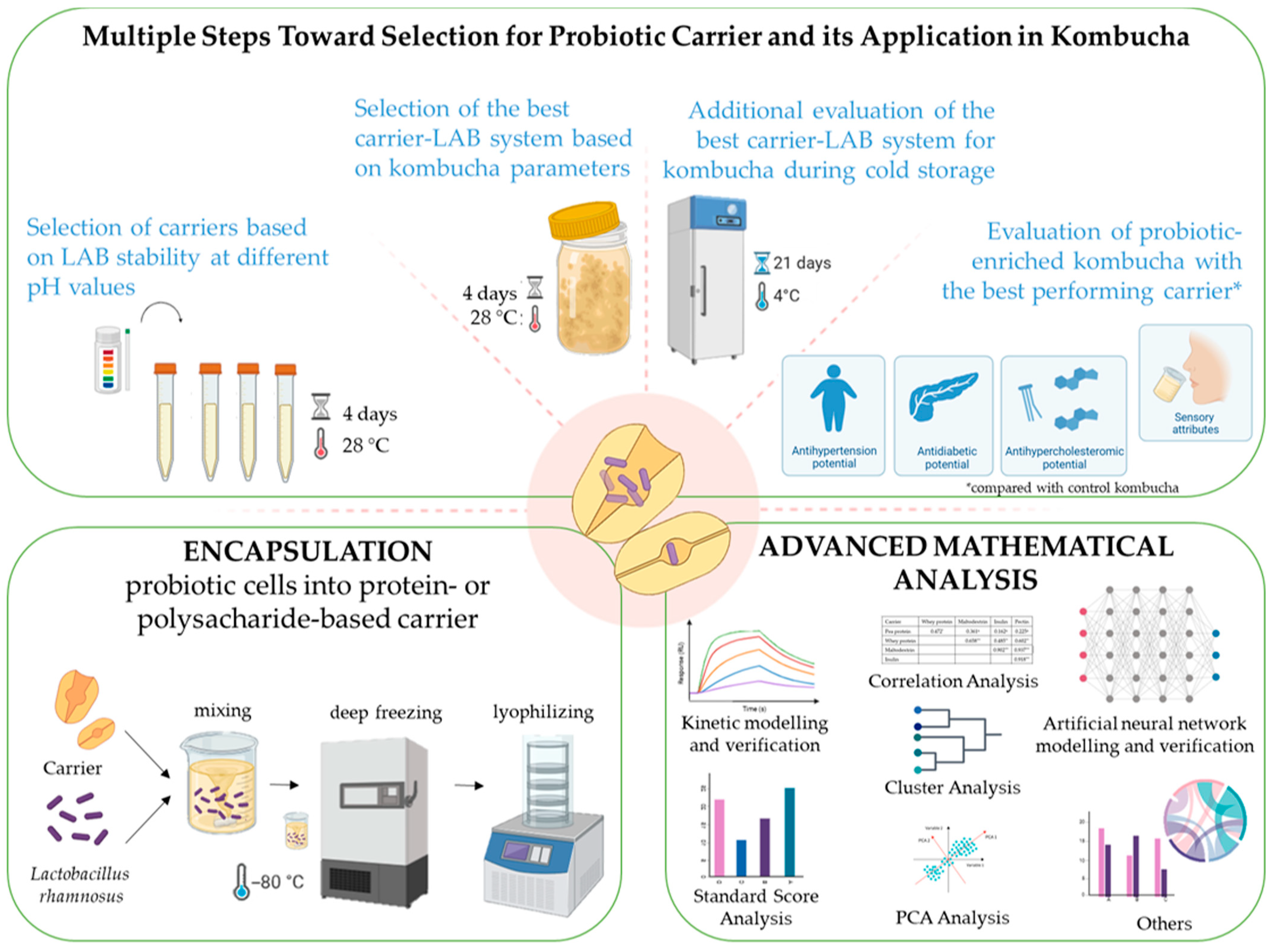 Fermentation 11 00256 g001