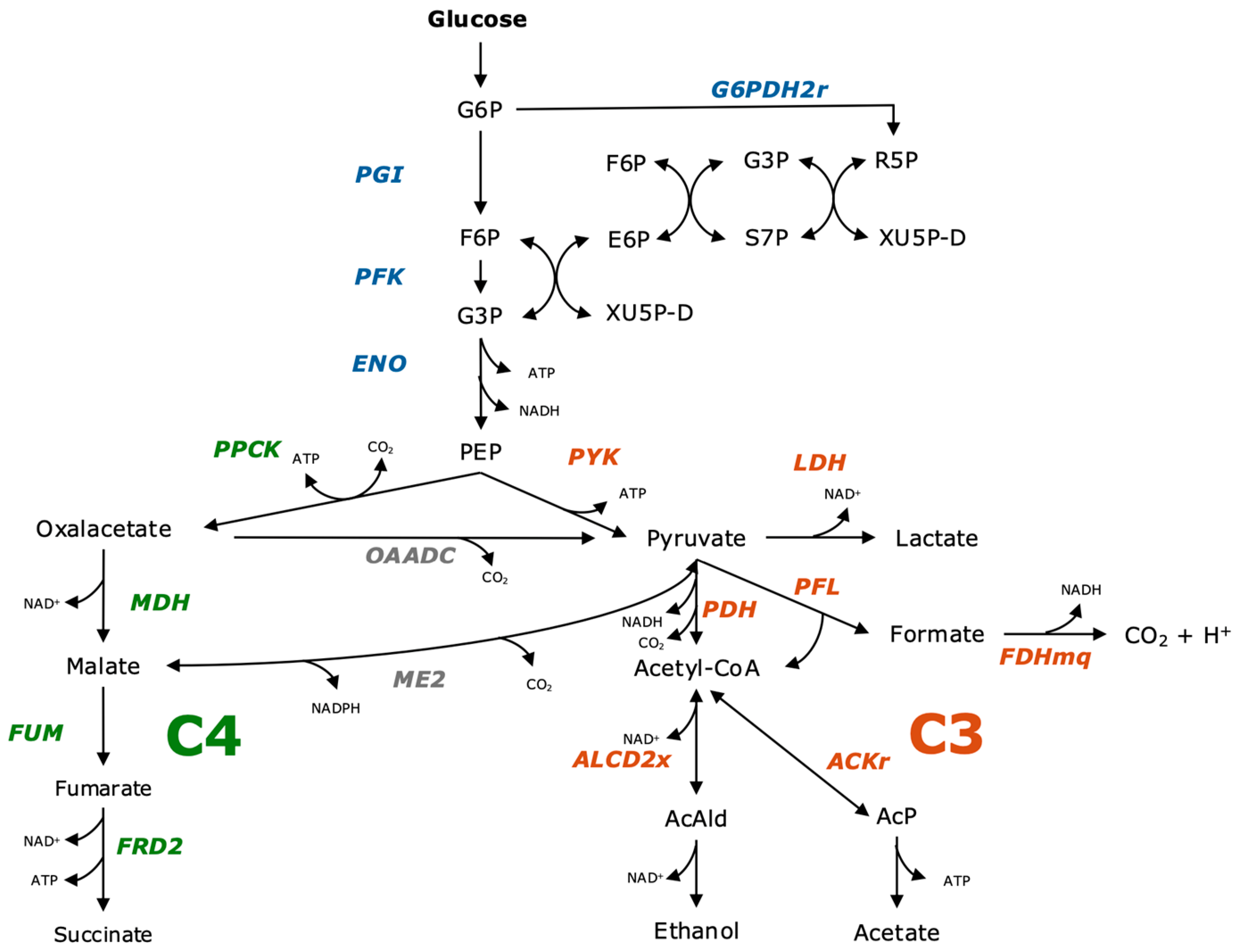 Fermentation 11 00263 g001