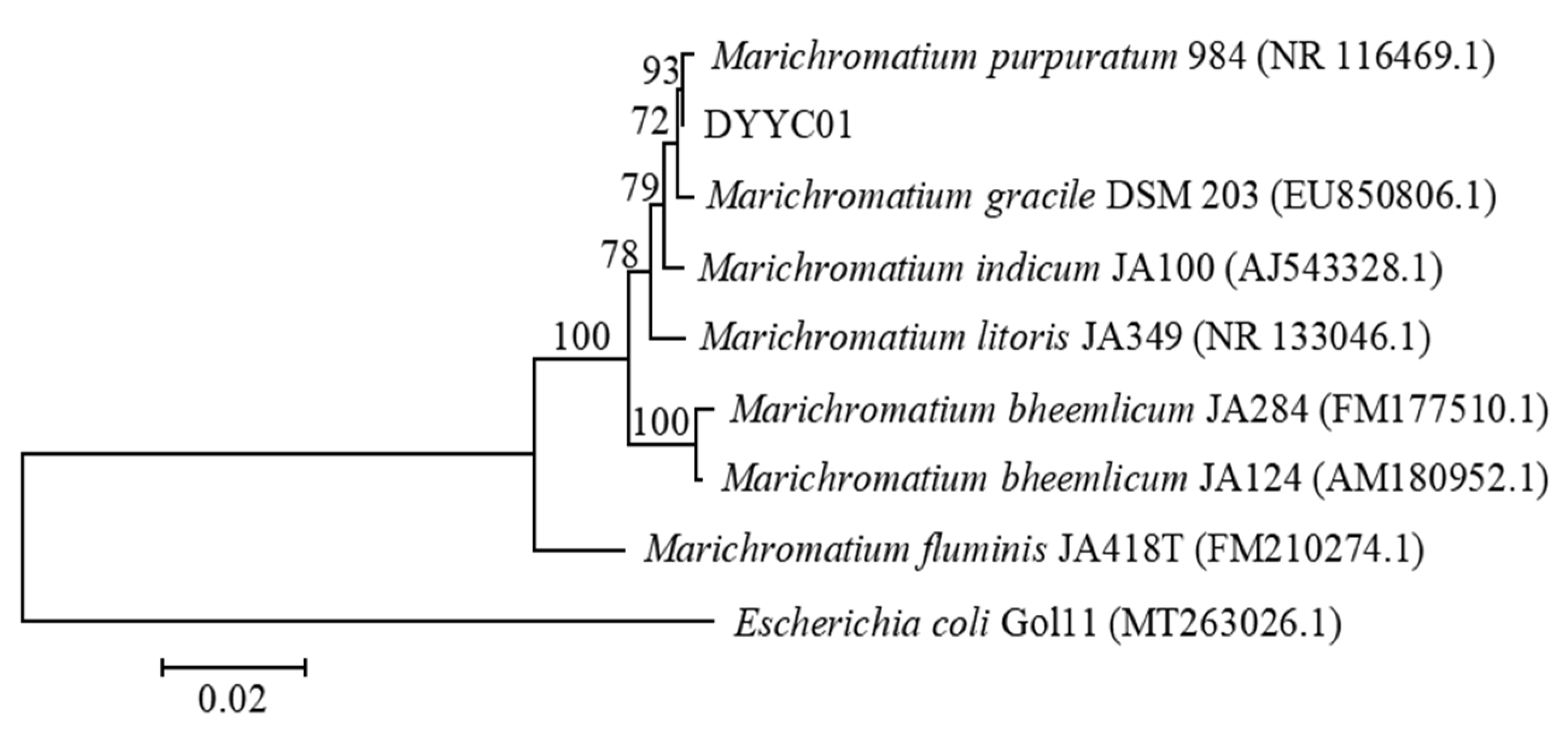 Fermentation 11 00284 g001