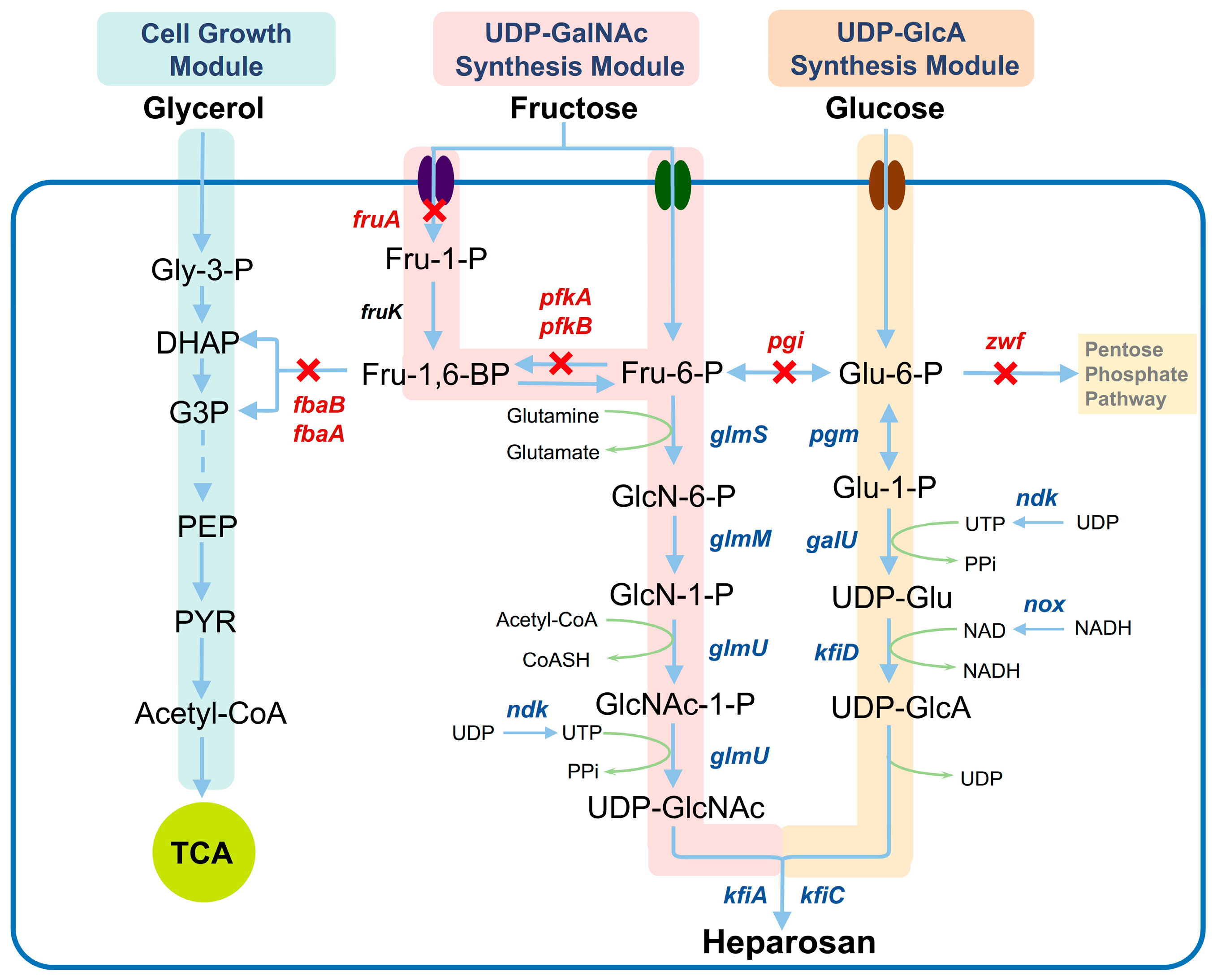 Fermentation 11 00289 g001