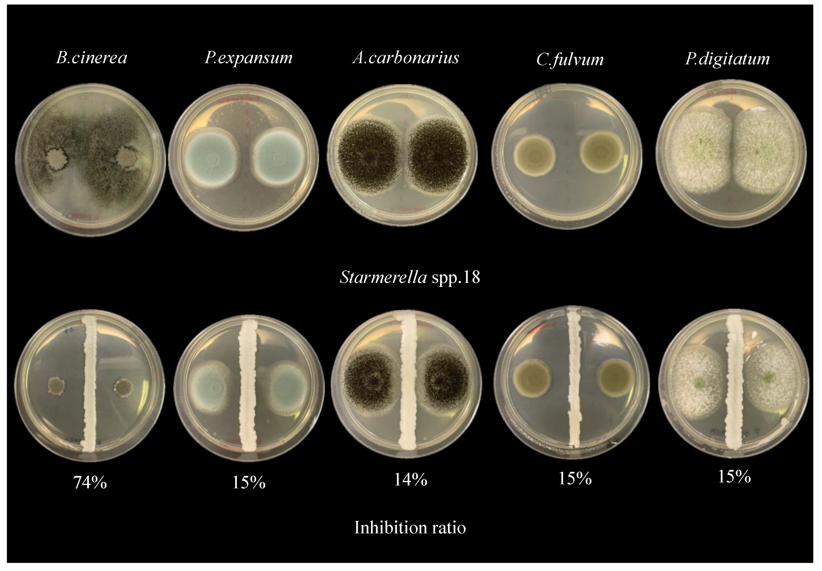 Fermentation 11 00290 g003 Fermentation 11 00290 g003