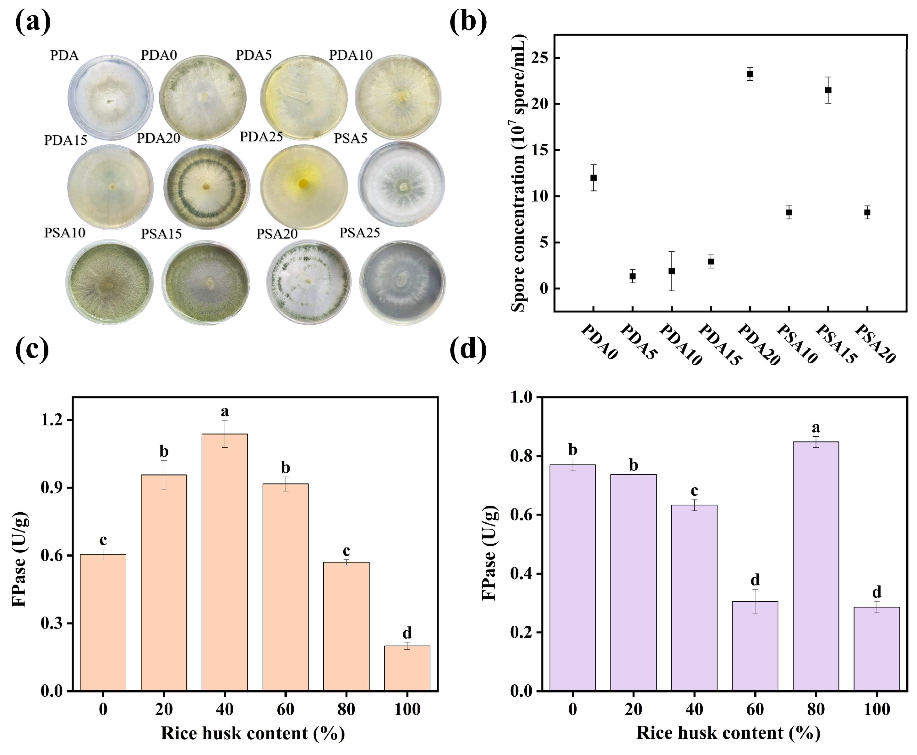 Fermentation 11 00294 g001