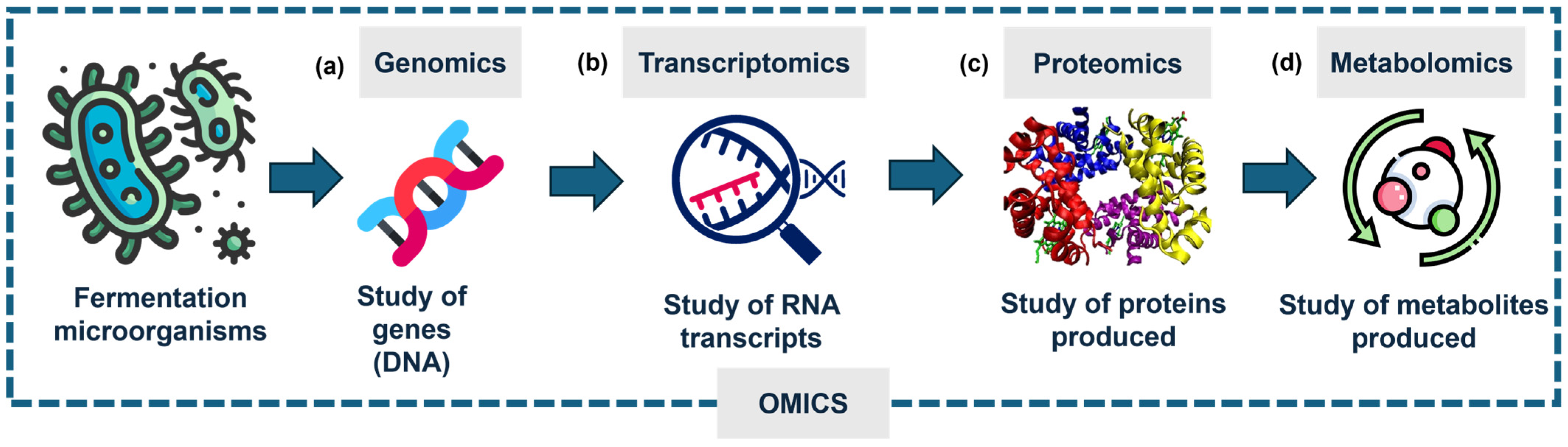 Fermentation 11 00300 g002