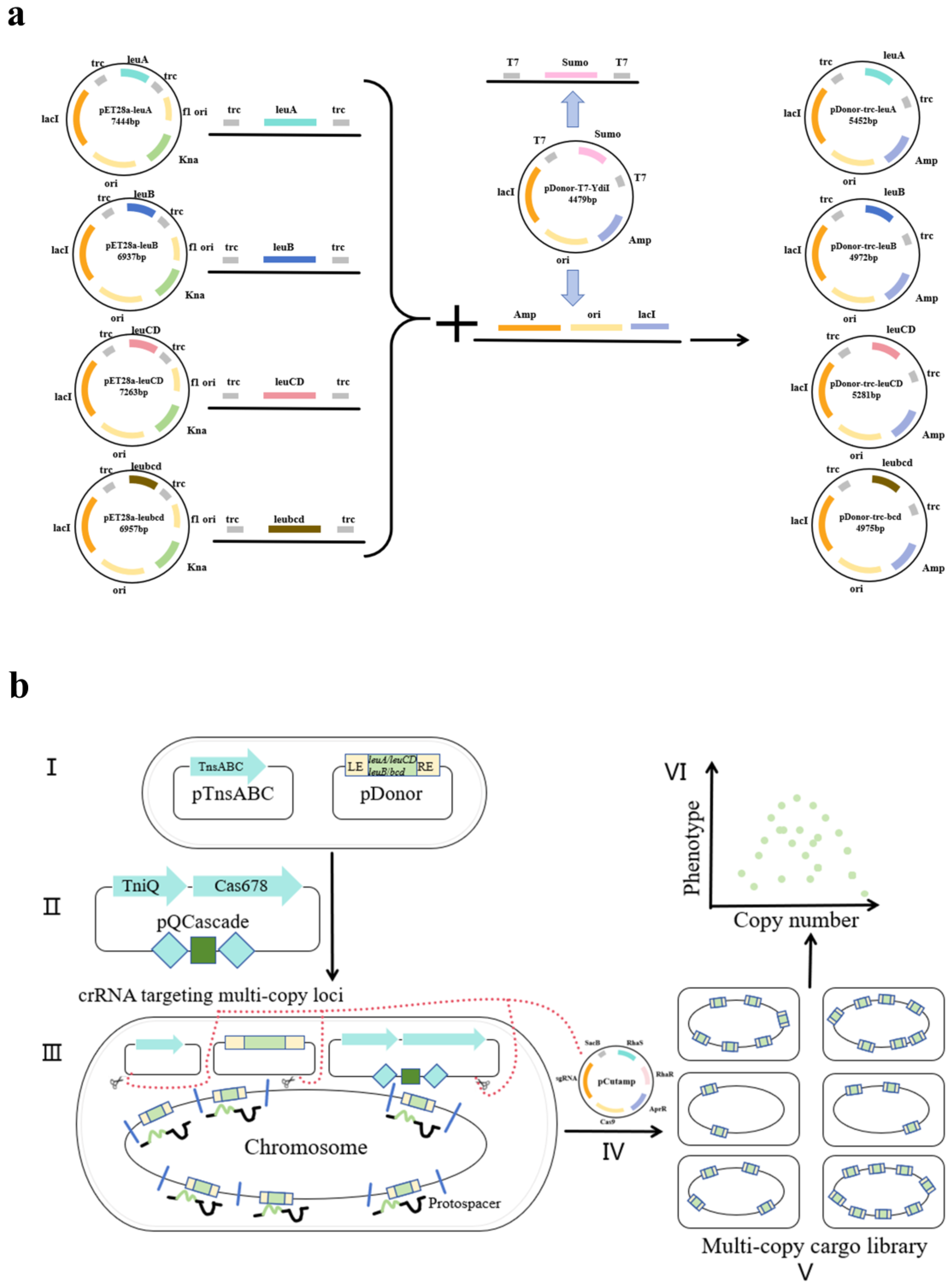 Fermentation 11 00314 g002
