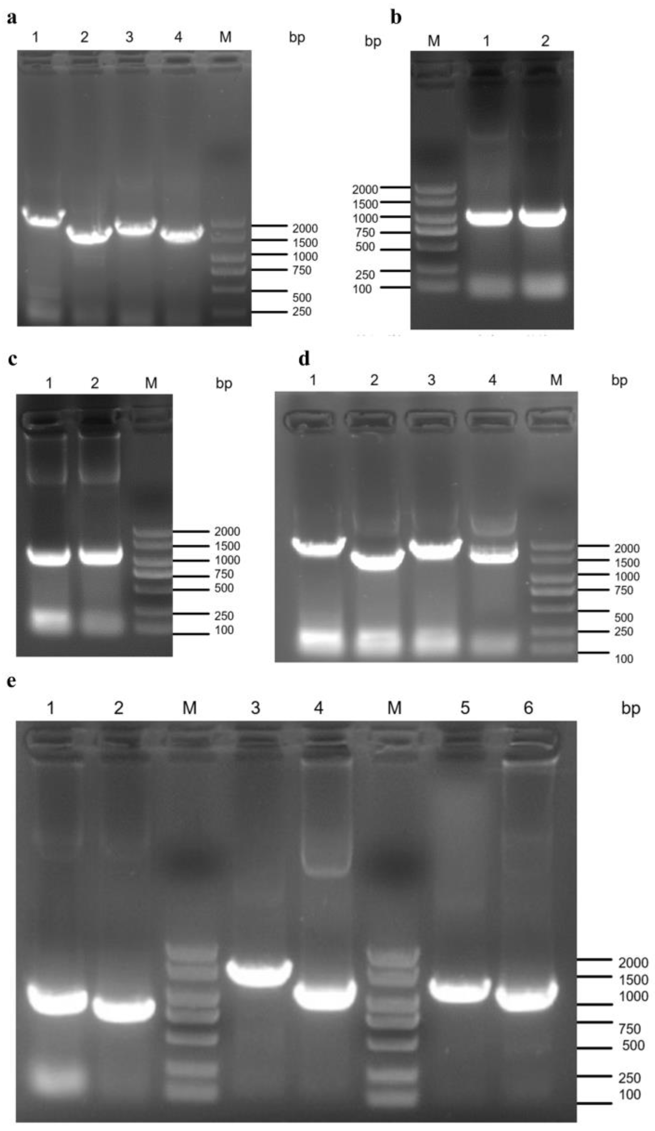 Fermentation 11 00314 g003