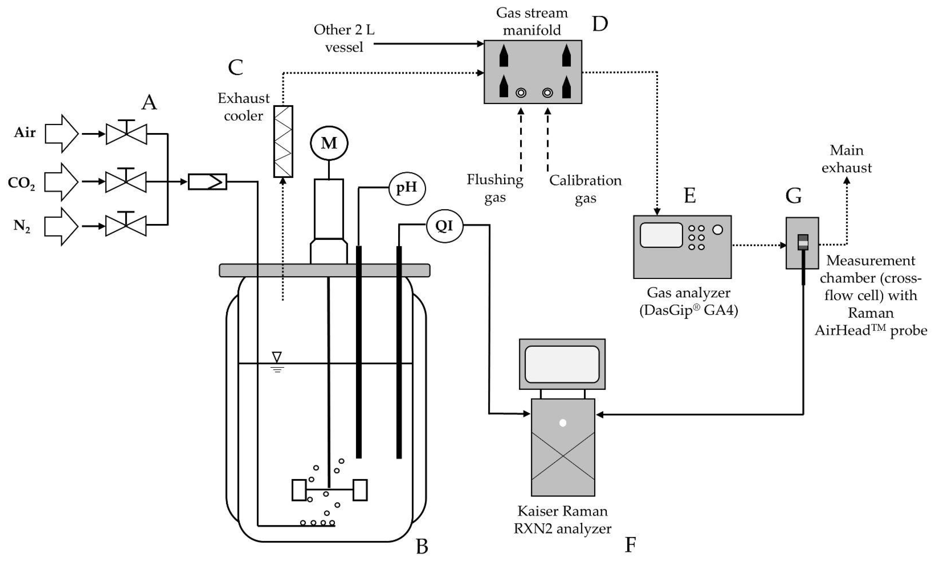 Fermentation 11 00317 g001
