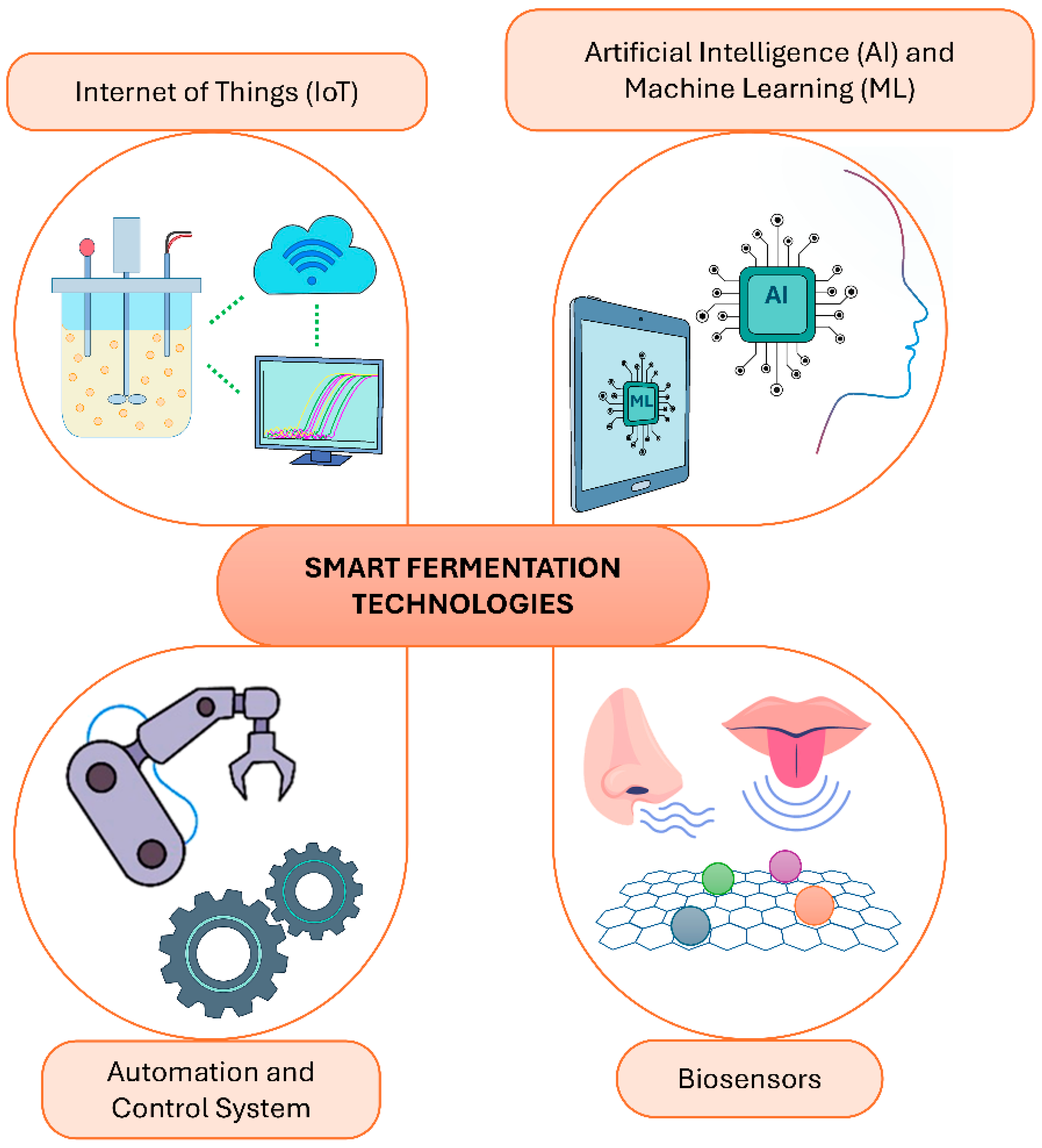 Fermentation 11 00323 g001