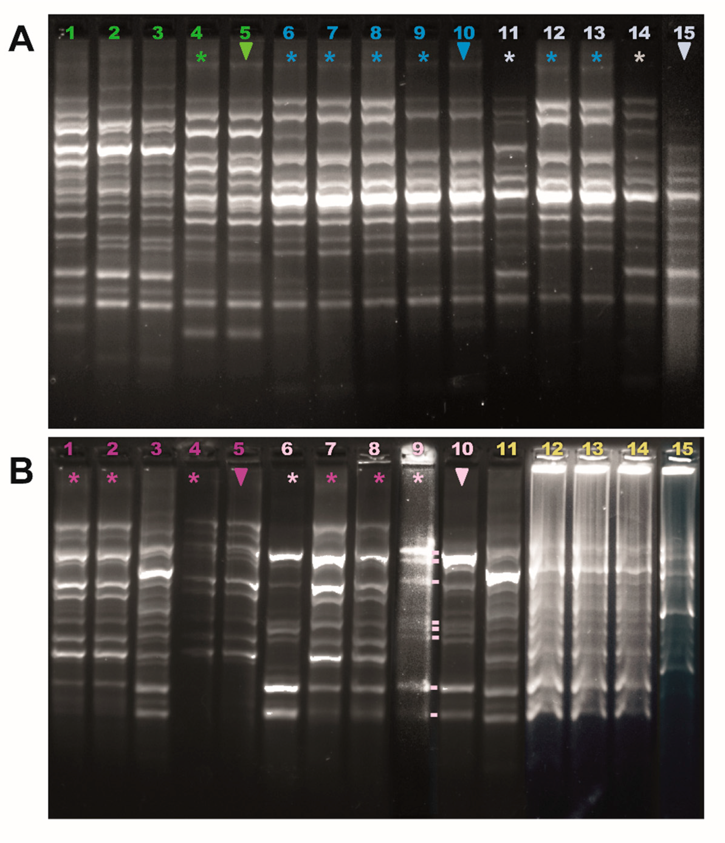 Fermentation 11 00337 g002