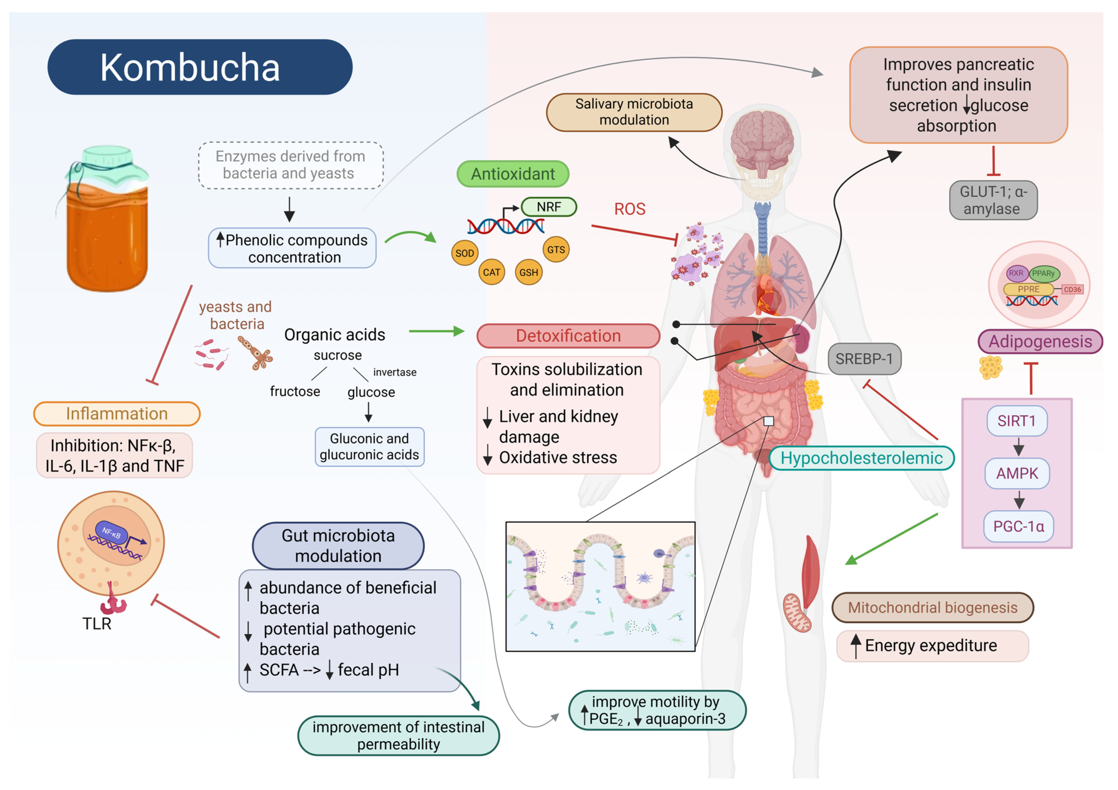 Fermentation 11 00353 g004