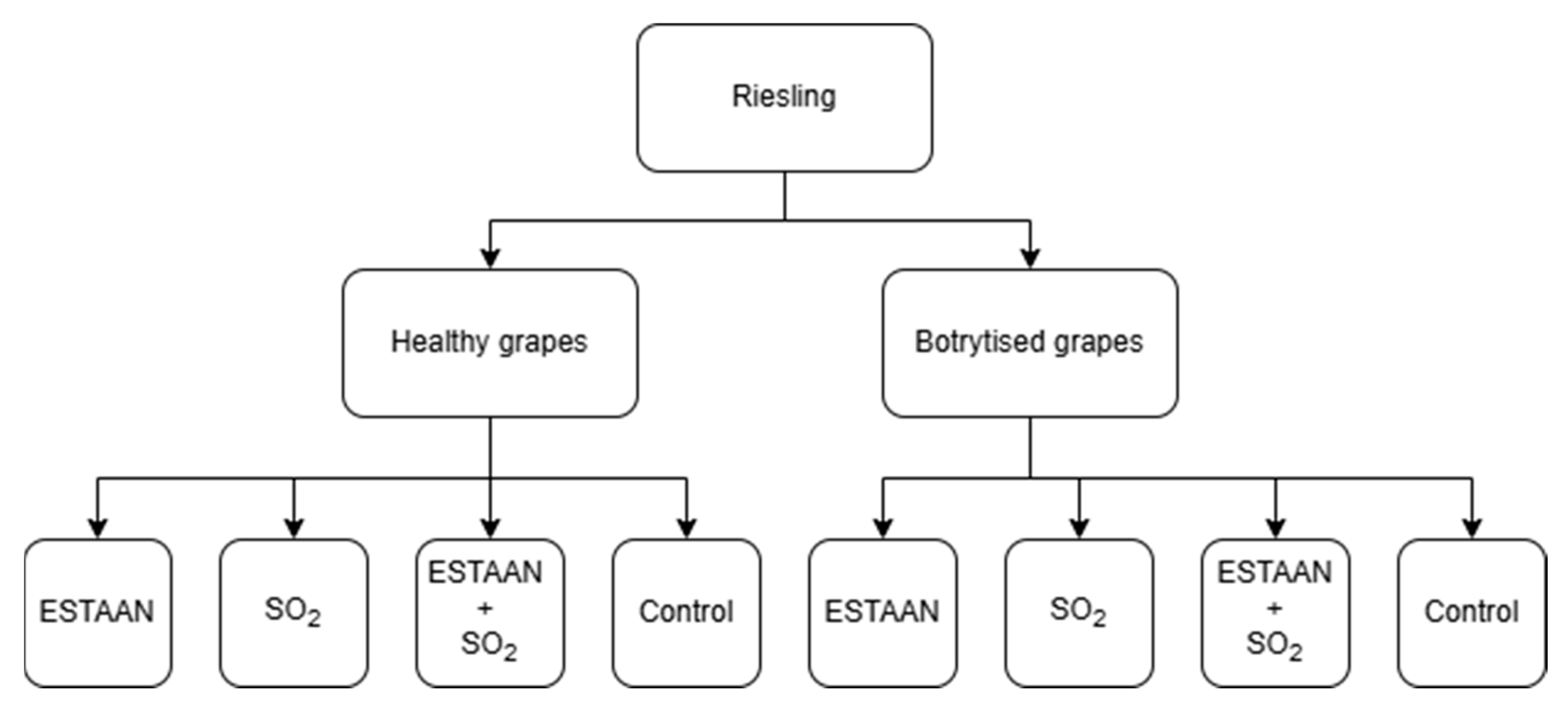 Fermentation 11 00360 sch001