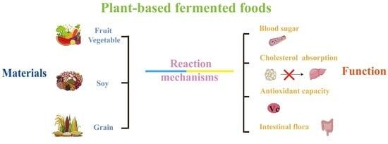 Plant-Based Fermented Foods: Classification, Biochemical ...