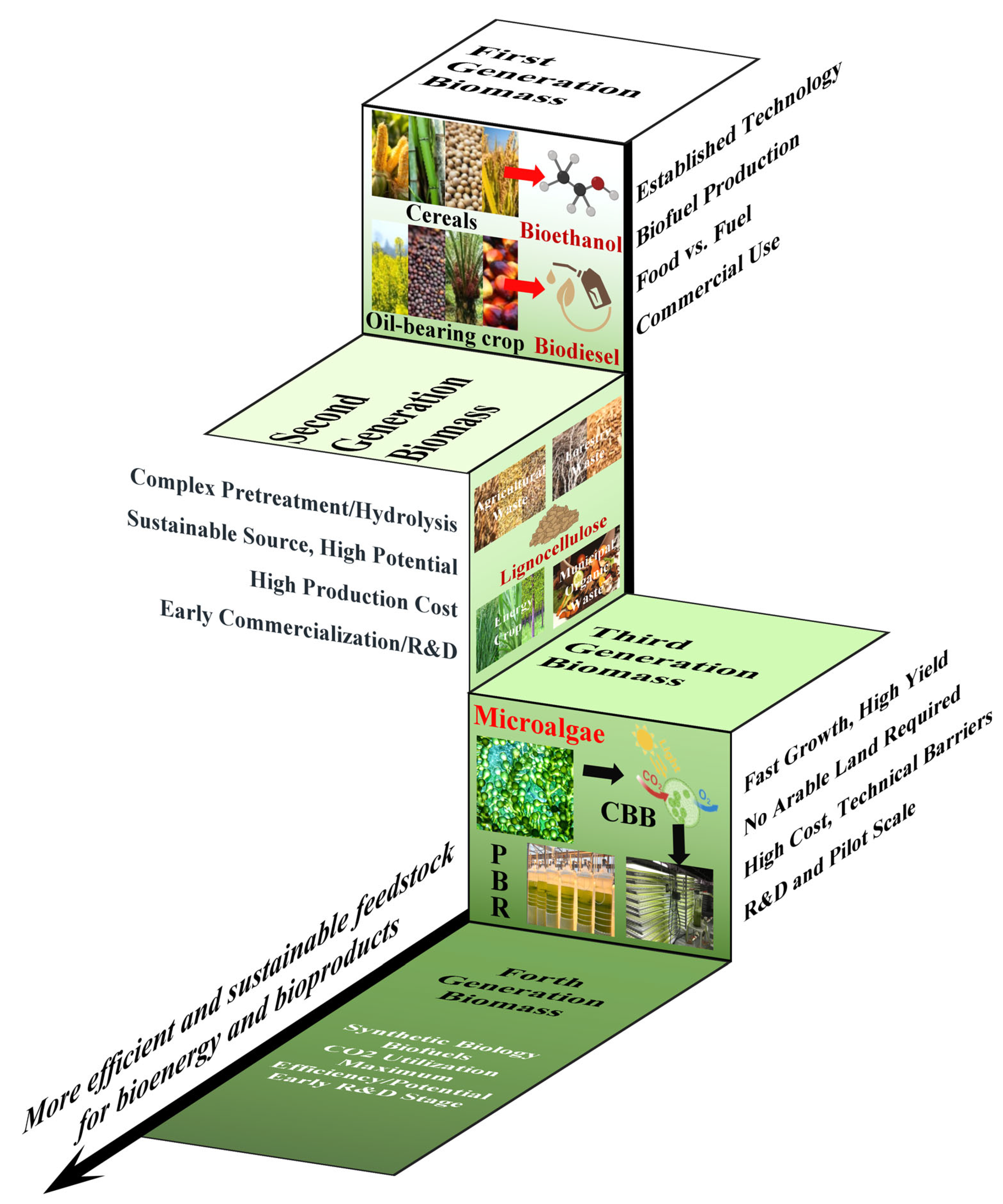 Fermentation 11 00371 g001 Fermentation 11 00371 g001