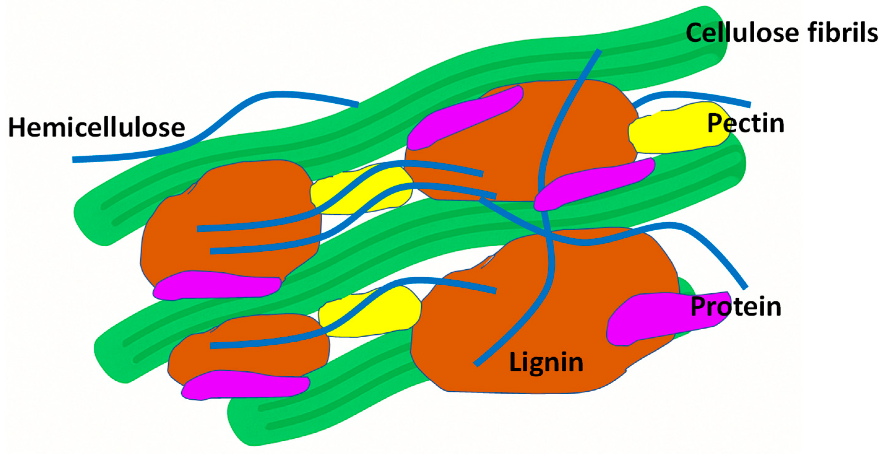 Fermentation 11 00376 g001