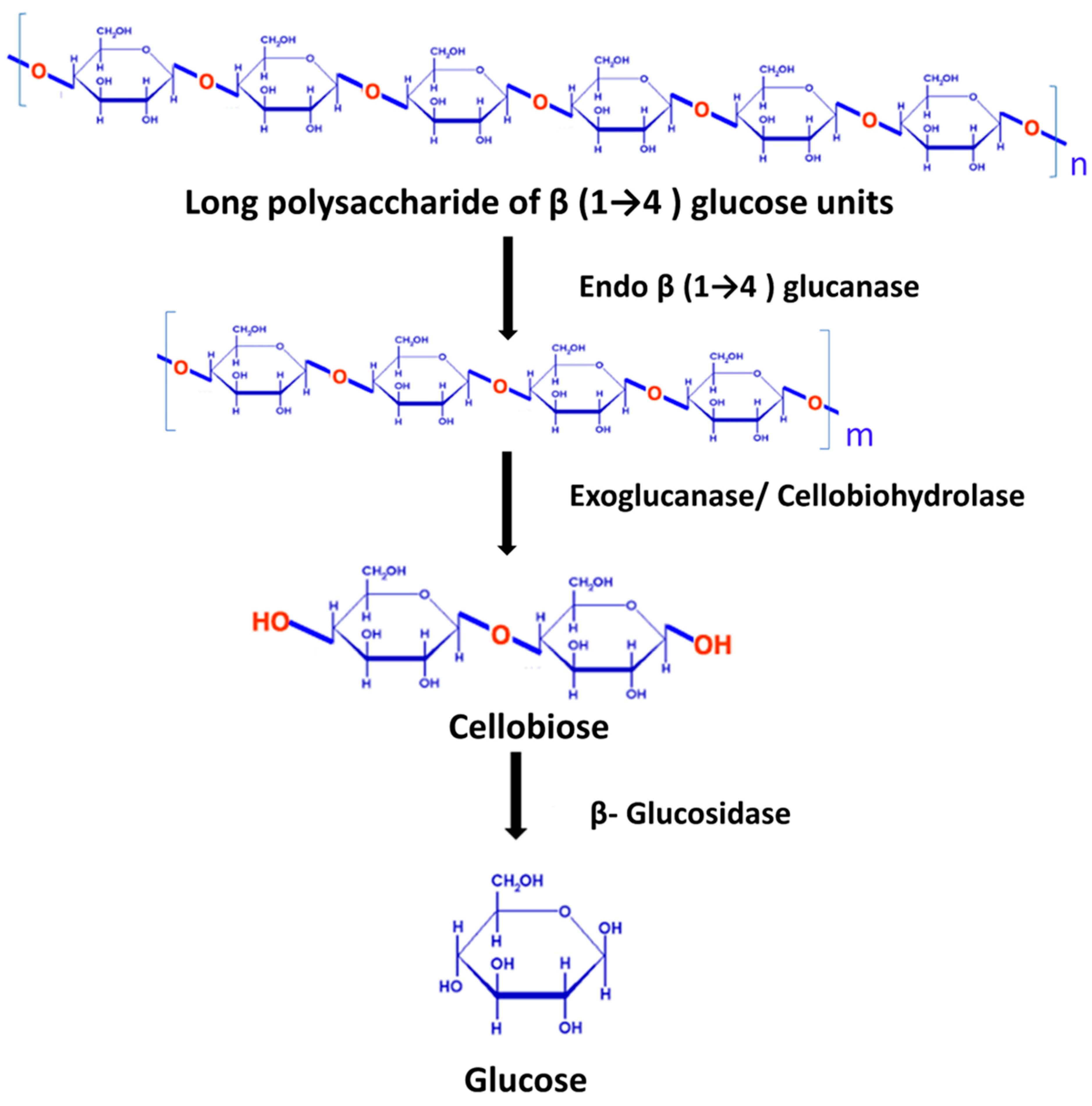 Fermentation 11 00376 g004