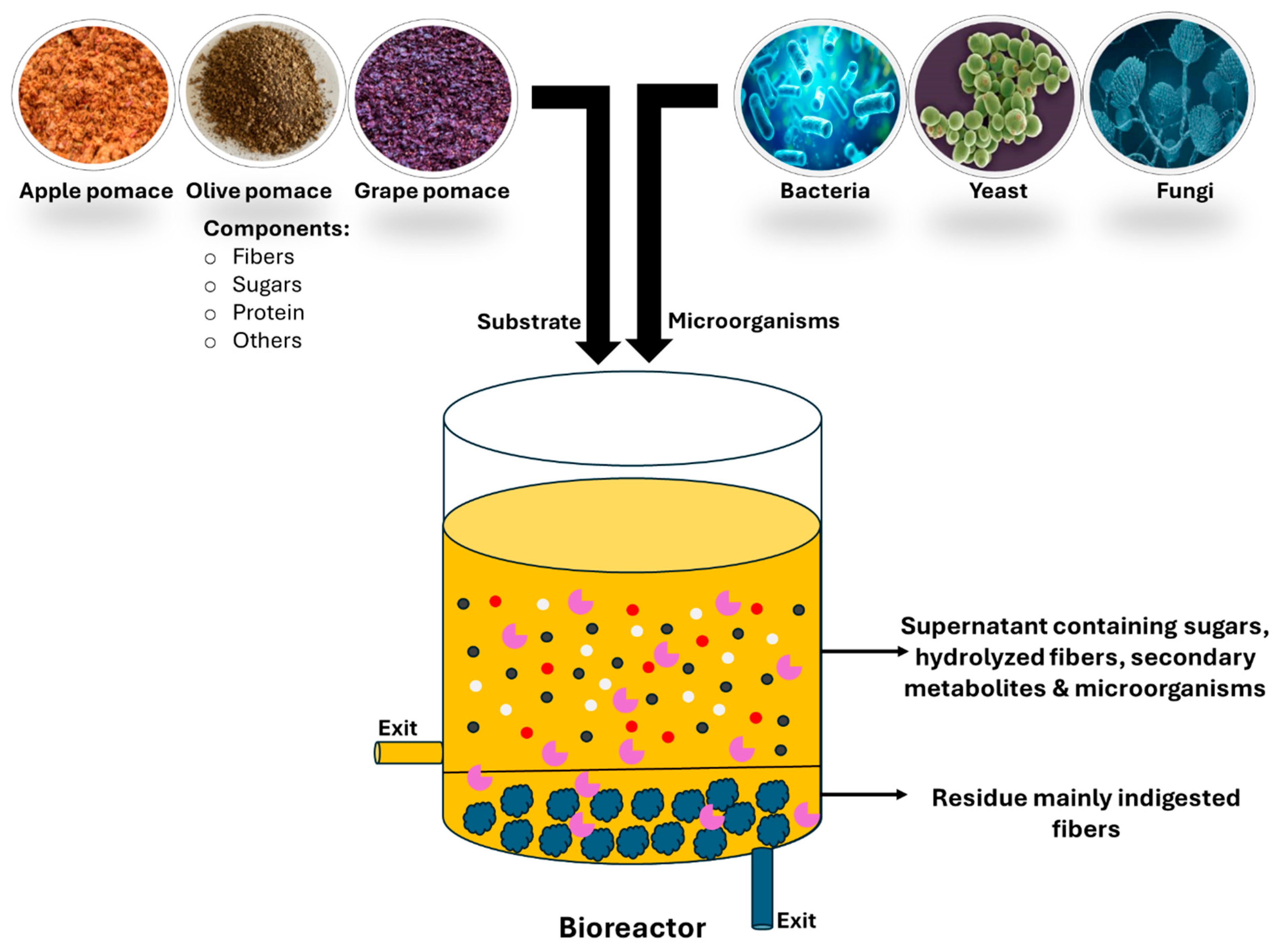 Fermentation 11 00376 g005