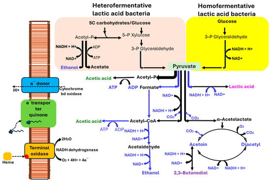 Fermentation 11 00376 g007