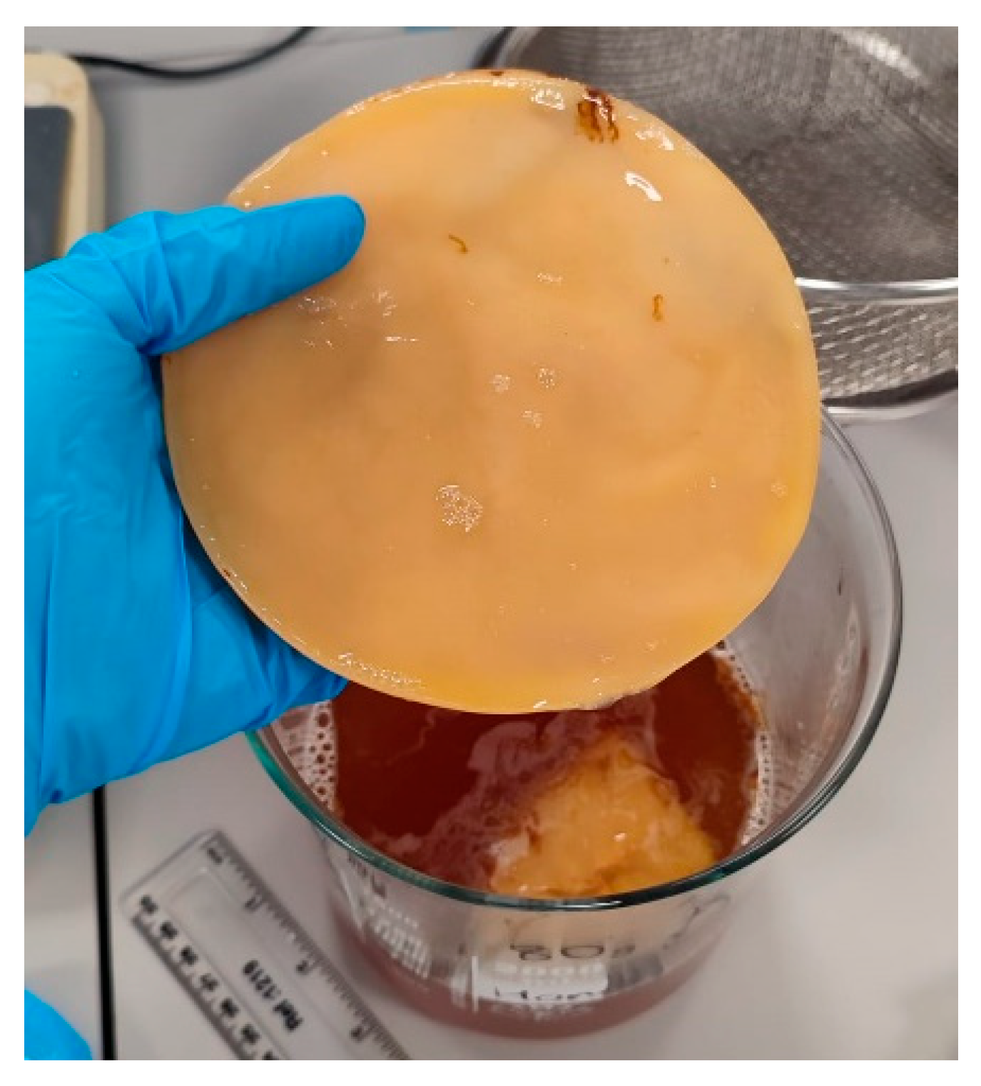 Fermentation 11 00379 g001