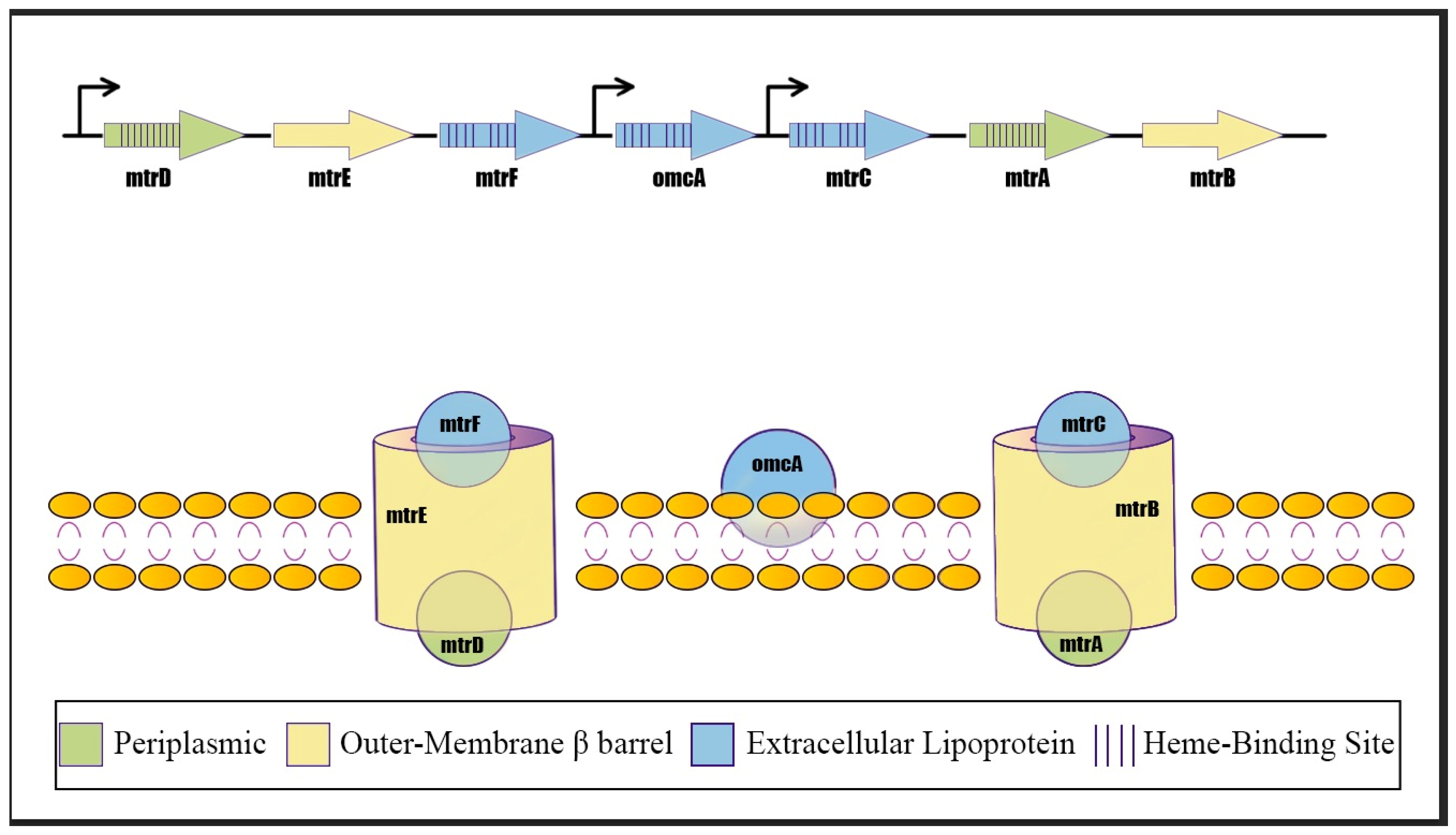 Fermentation 11 00381 g001