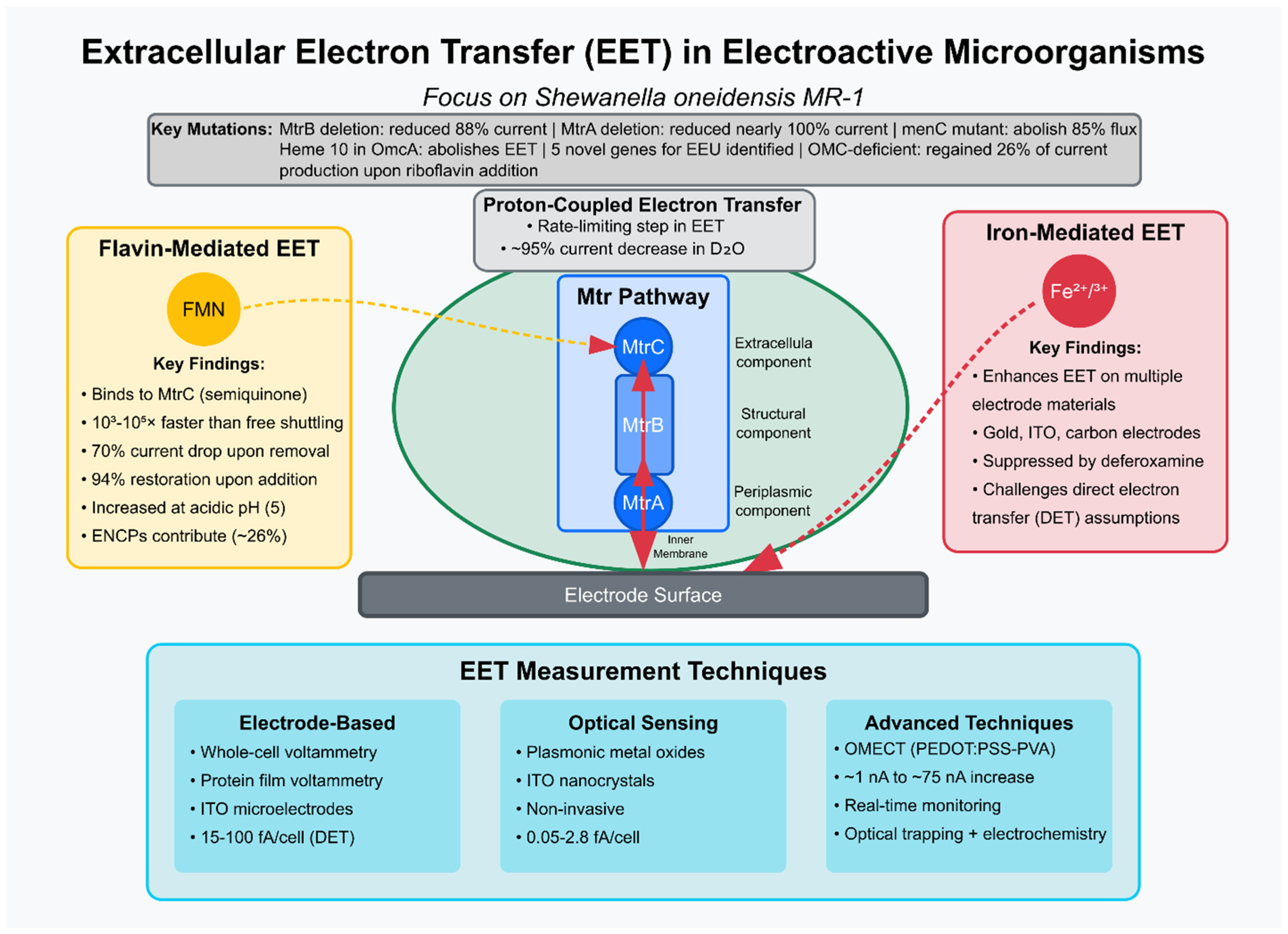 Fermentation 11 00381 g002