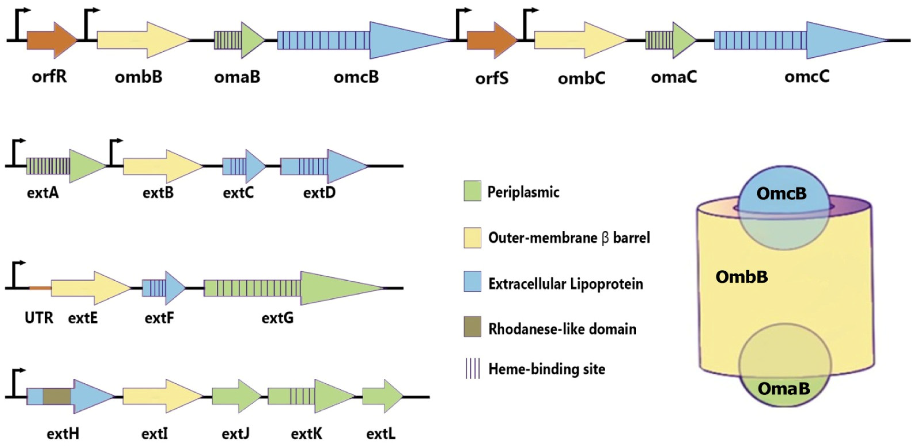 Fermentation 11 00381 g003
