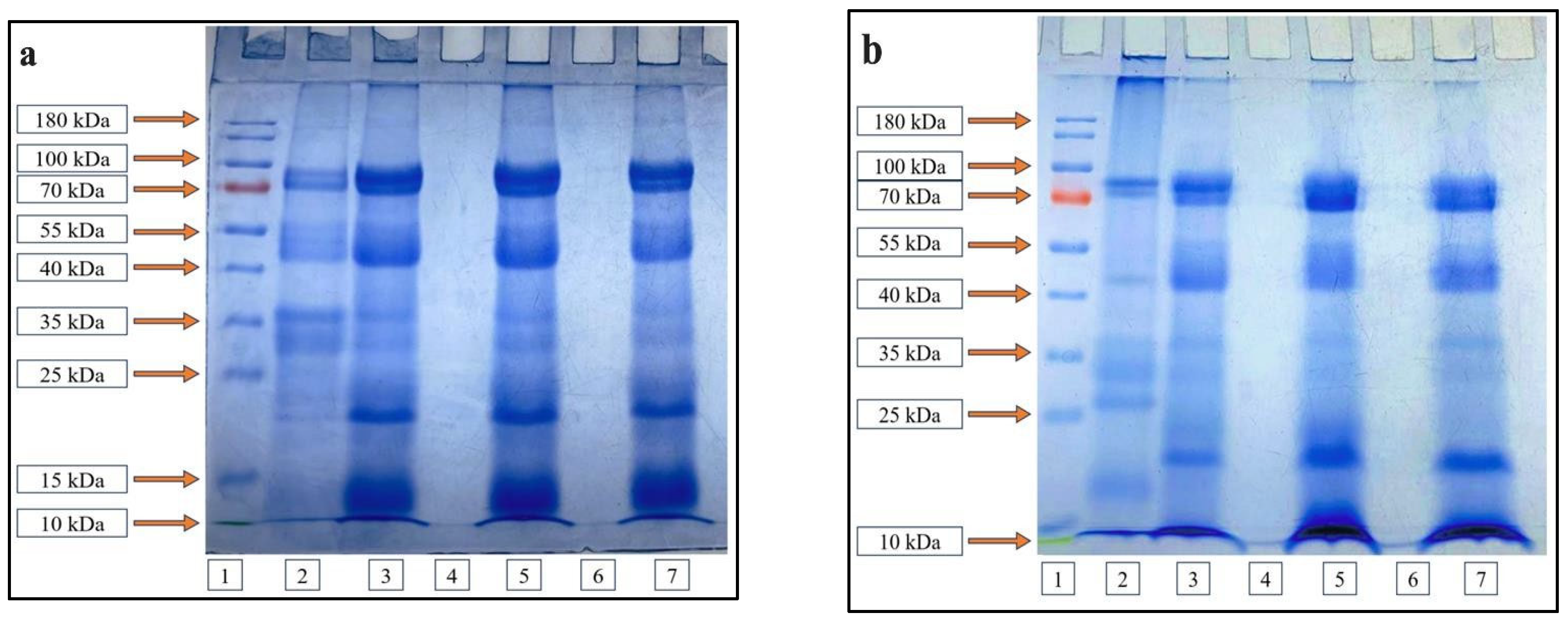 Fermentation 11 00391 g003