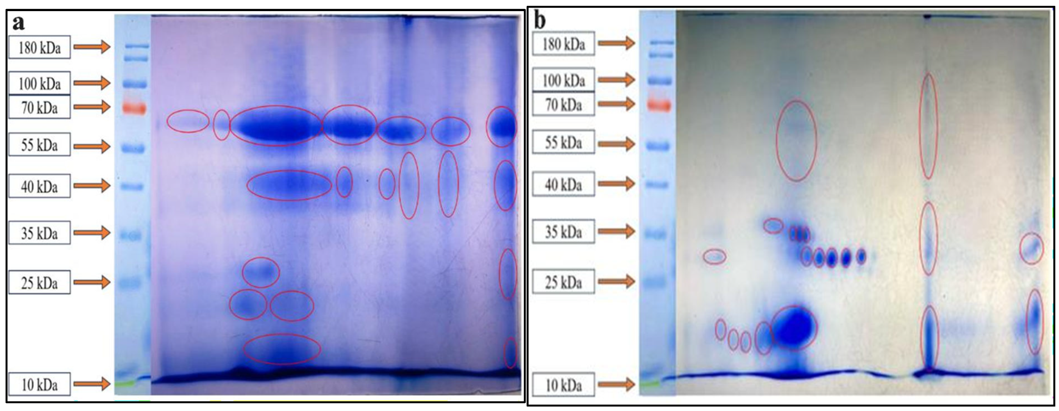 Fermentation 11 00391 g004