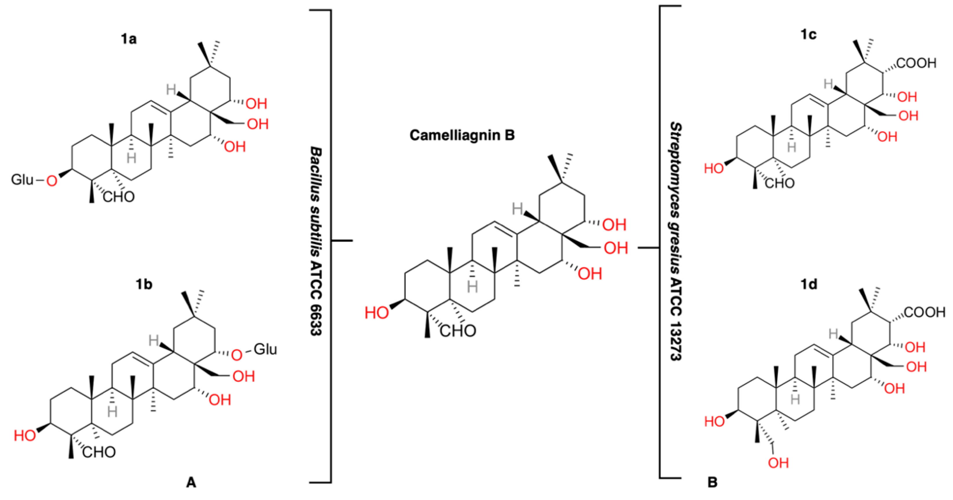 Fermentation 11 00407 g002