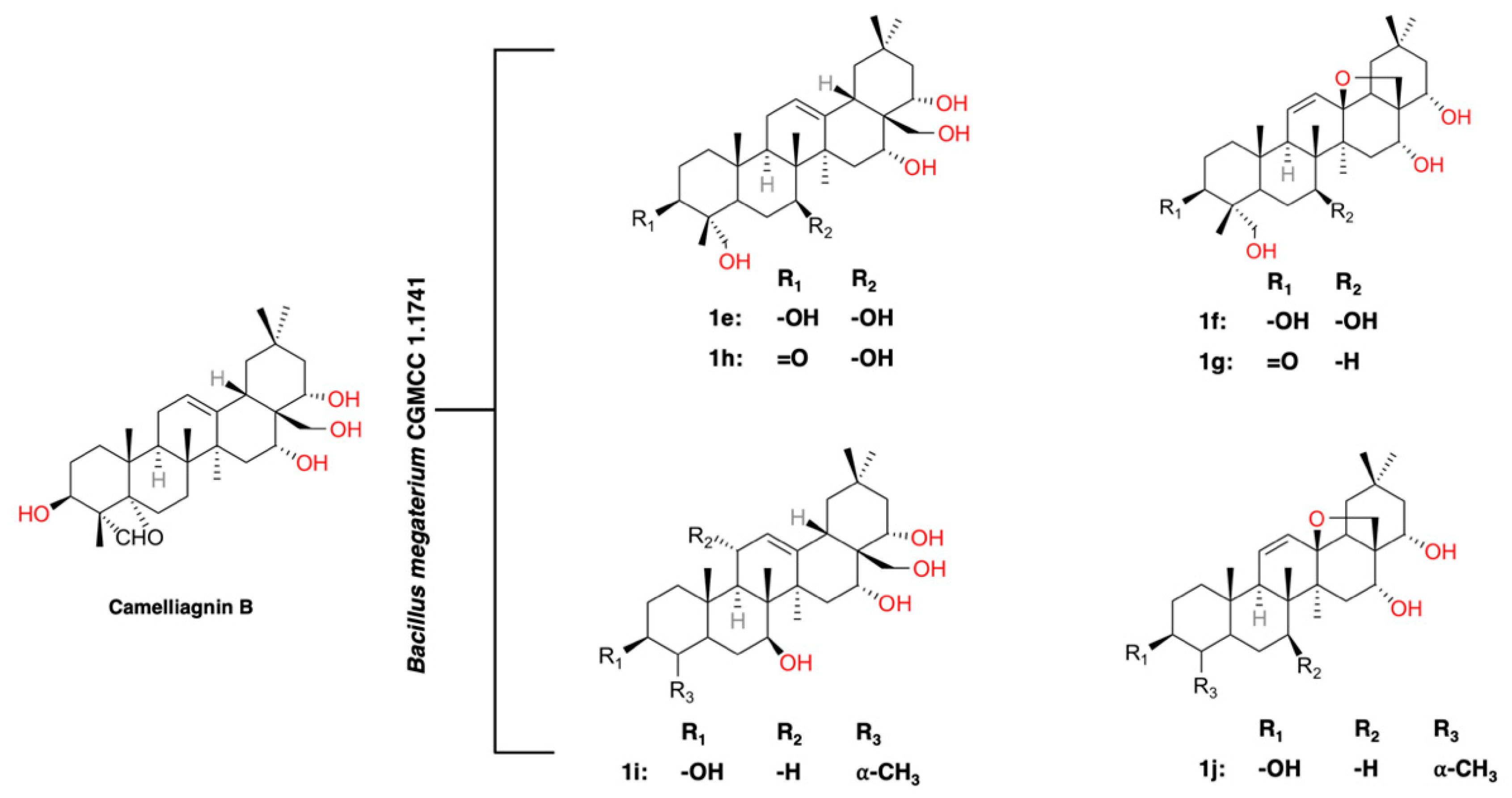 Fermentation 11 00407 g004