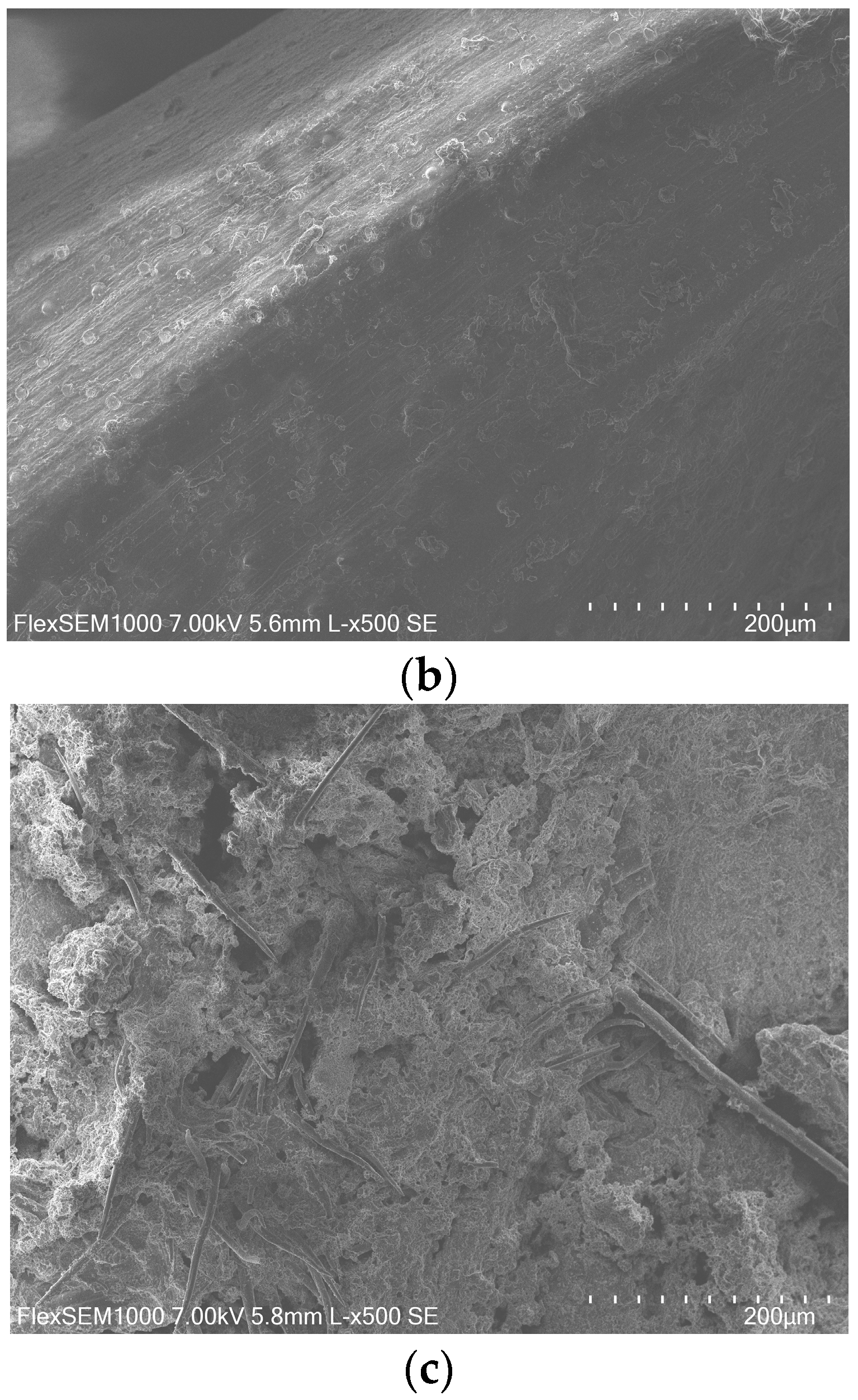 Fermentation 11 00421 g002b