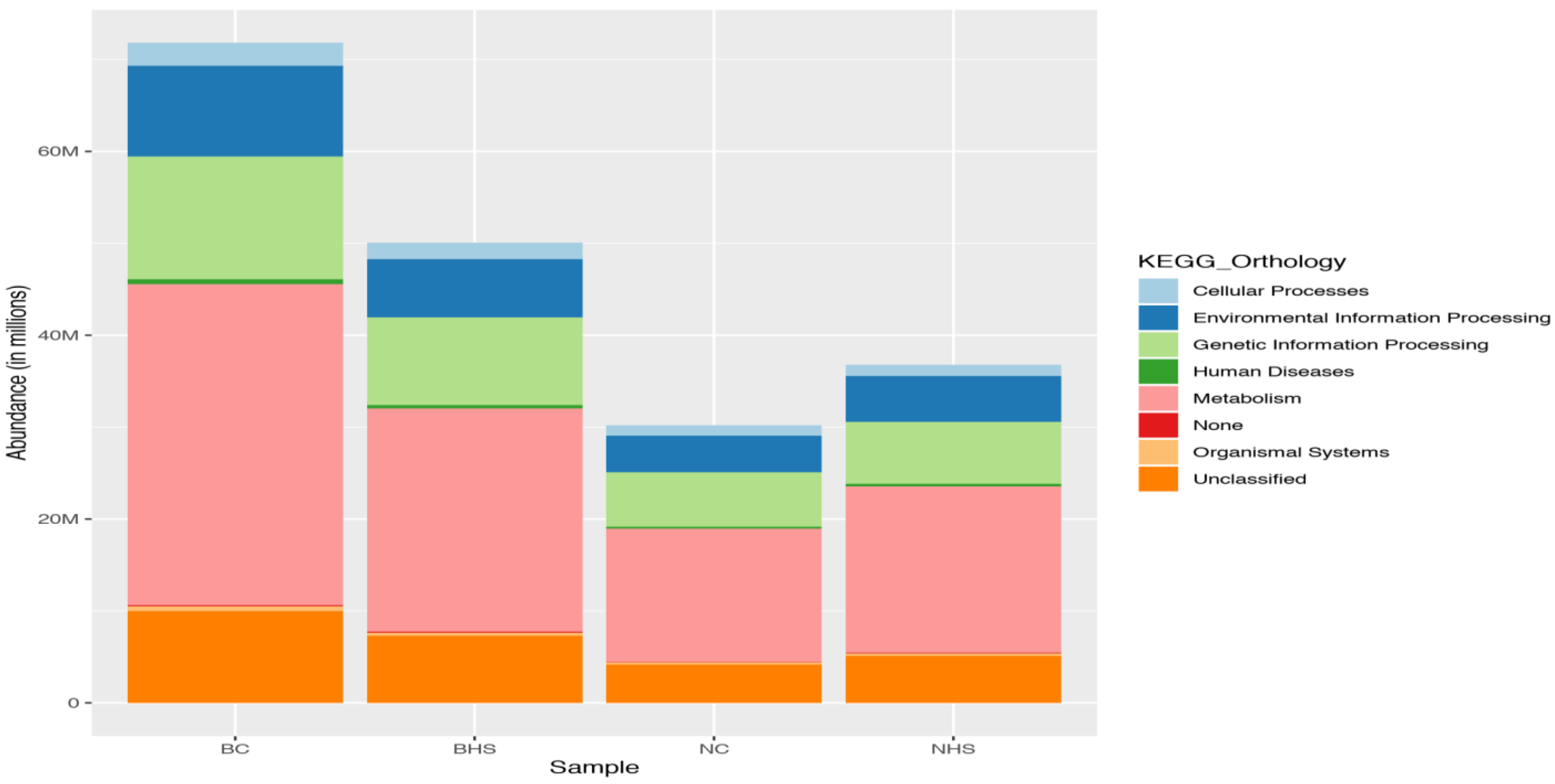 Fermentation 11 00450 g007