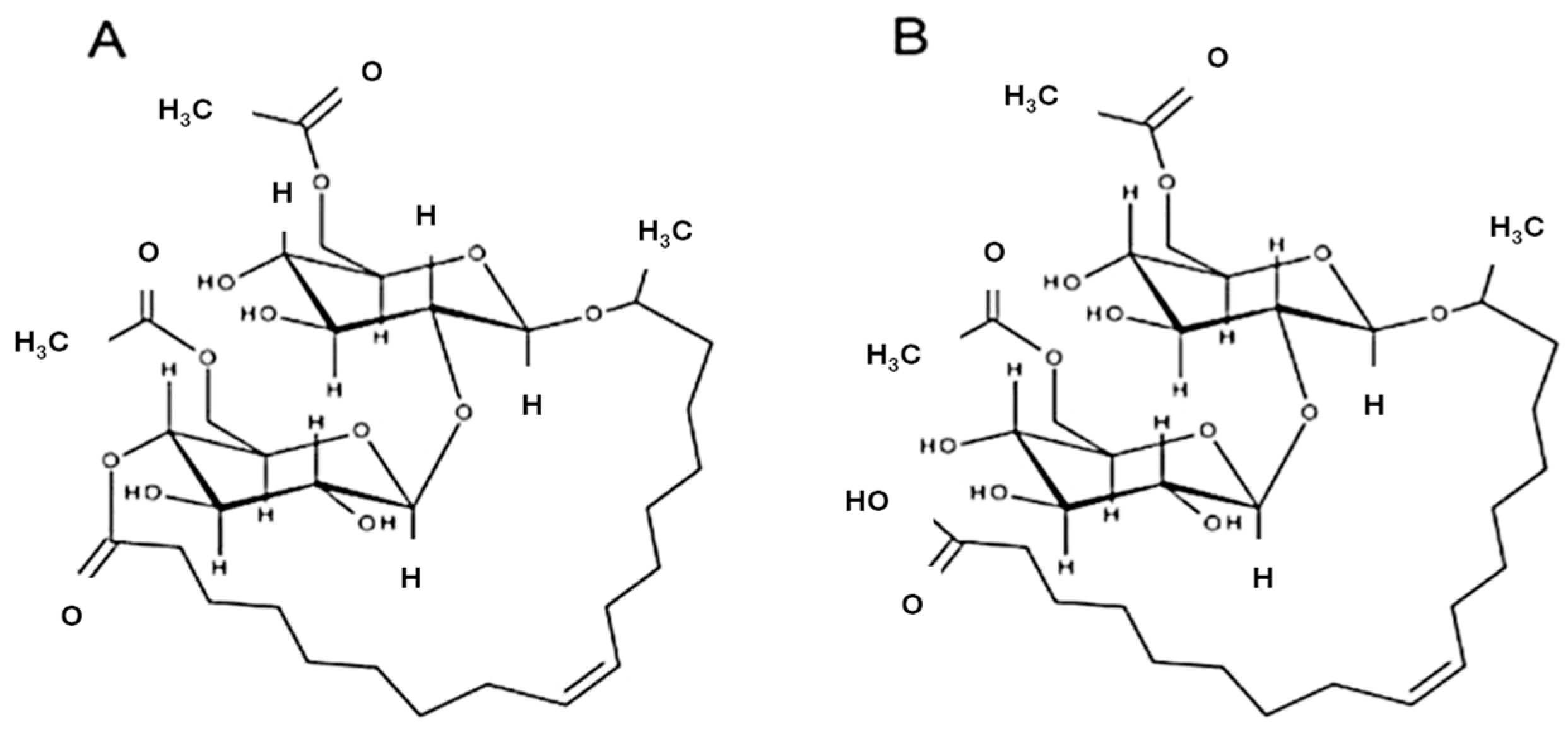 Fermentation 11 00451 g001