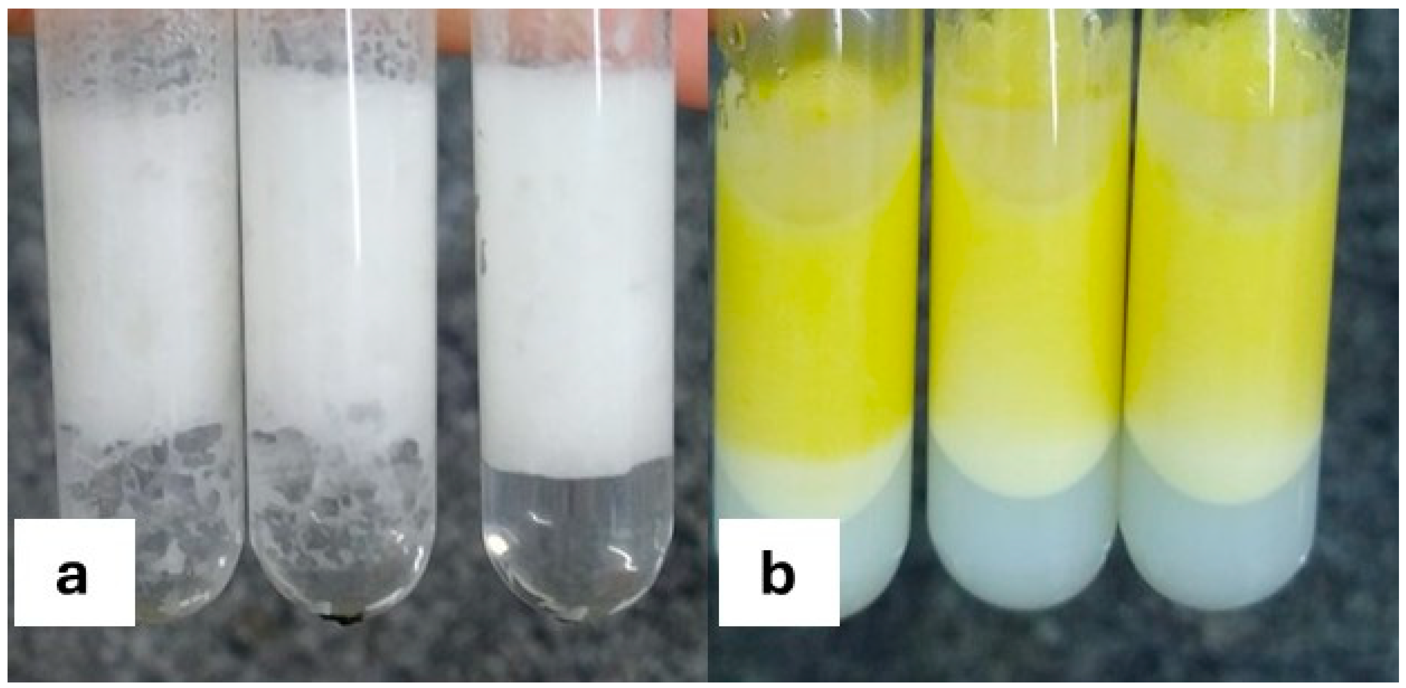 Fermentation 11 00451 g003