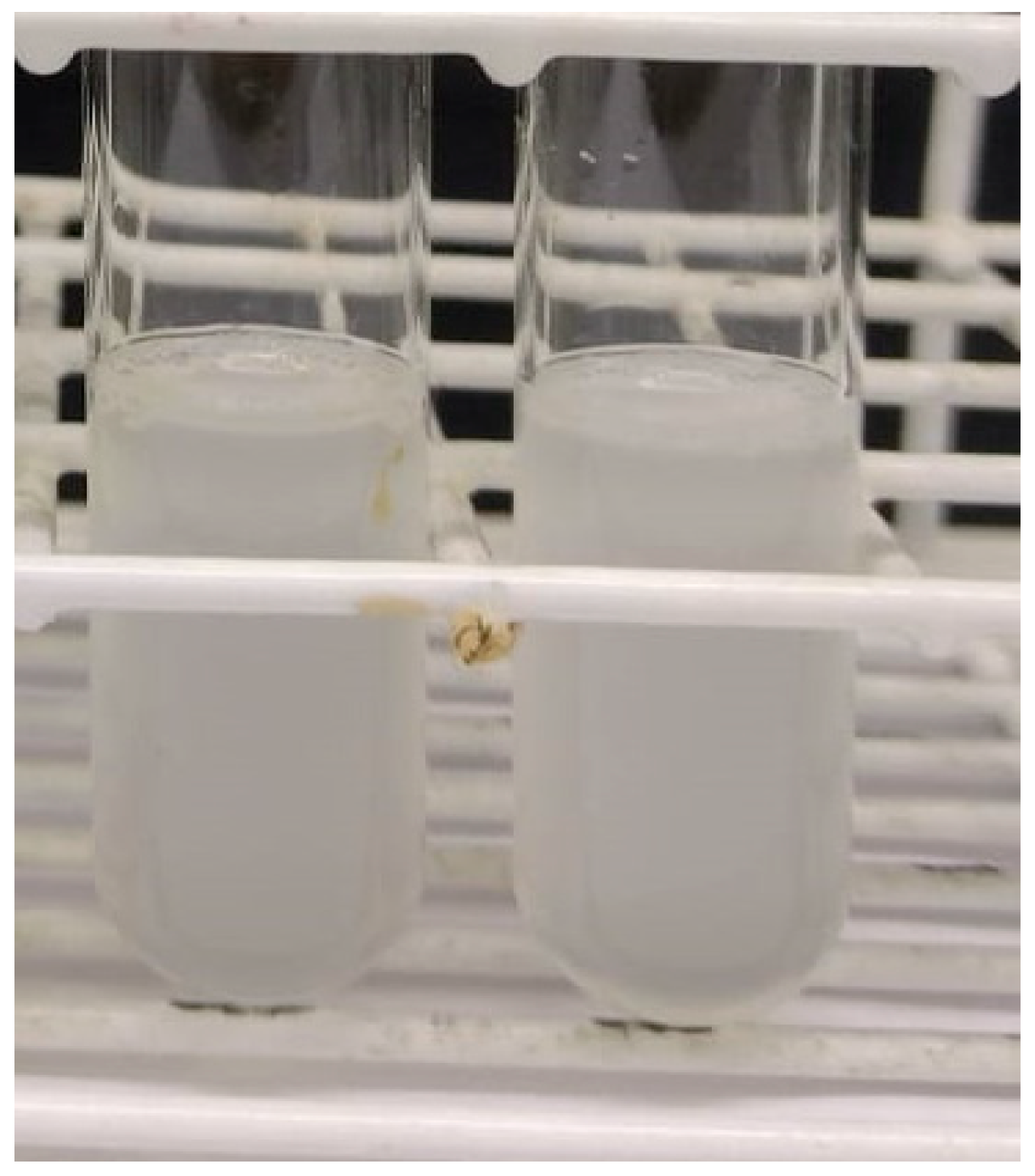 Fermentation 11 00451 g004