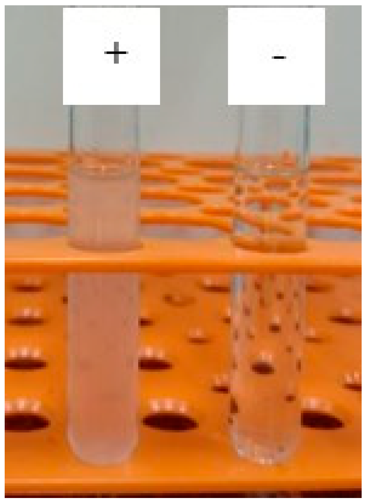 Fermentation 11 00451 g006