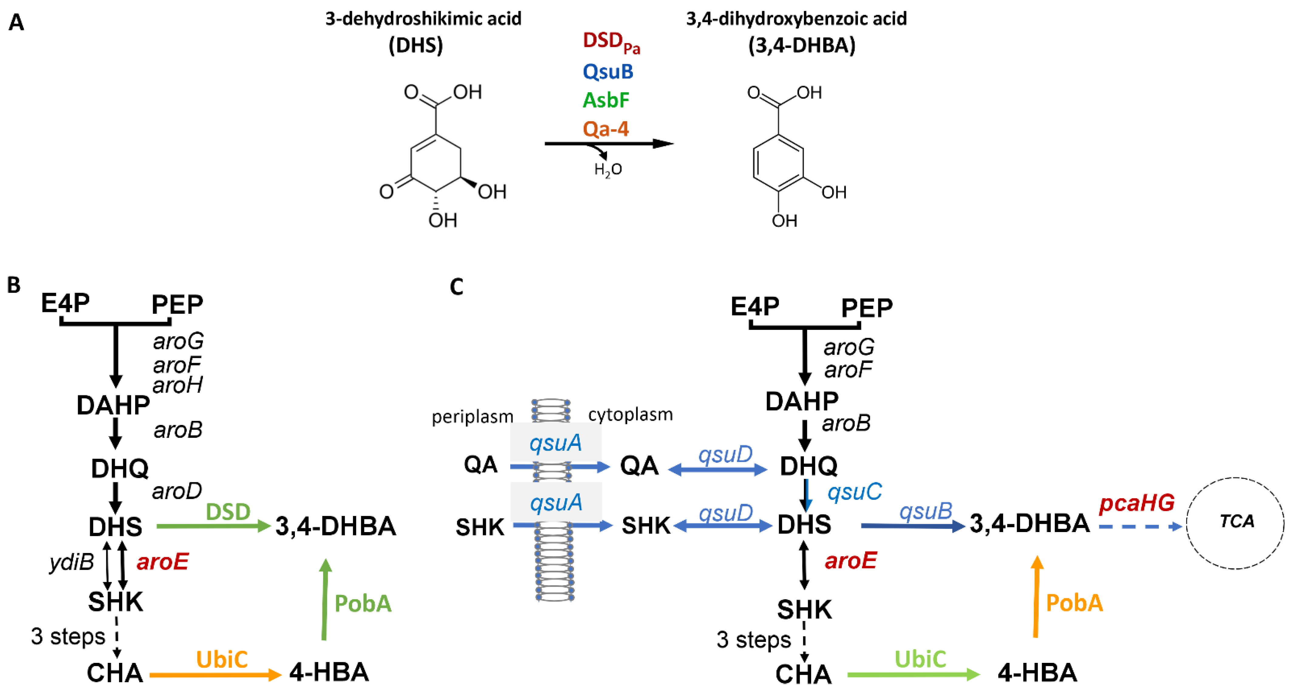 Fermentation 11 00464 g001 Fermentation 11 00464 g001