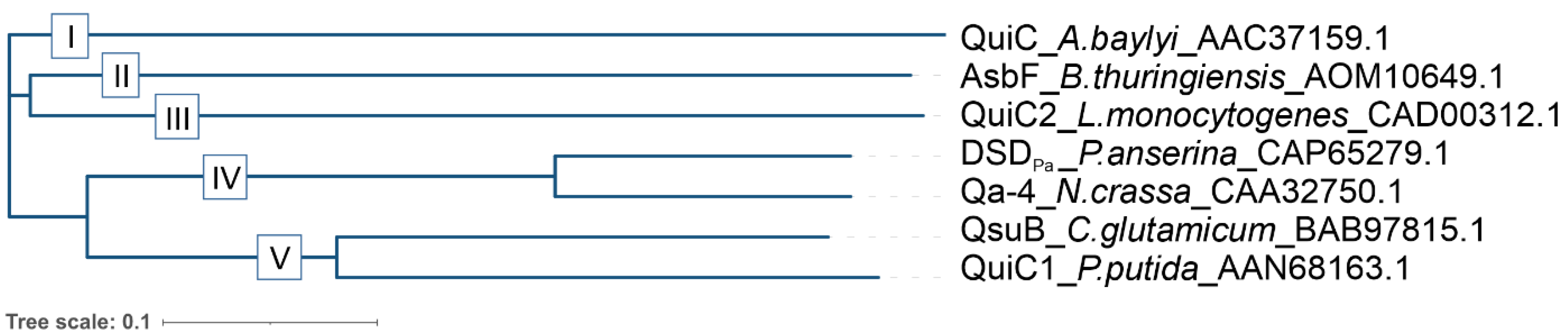 Fermentation 11 00464 g003 Fermentation 11 00464 g003