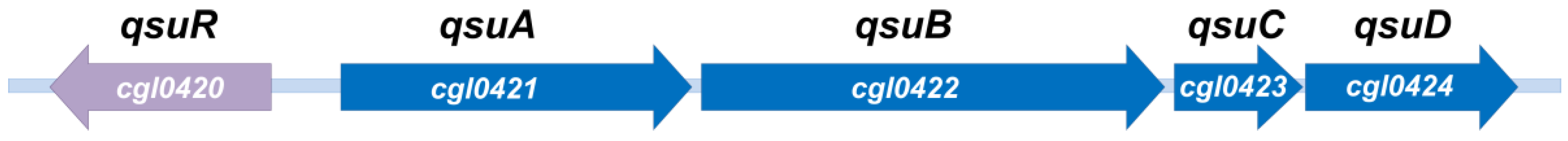 Fermentation 11 00464 g007 Fermentation 11 00464 g007