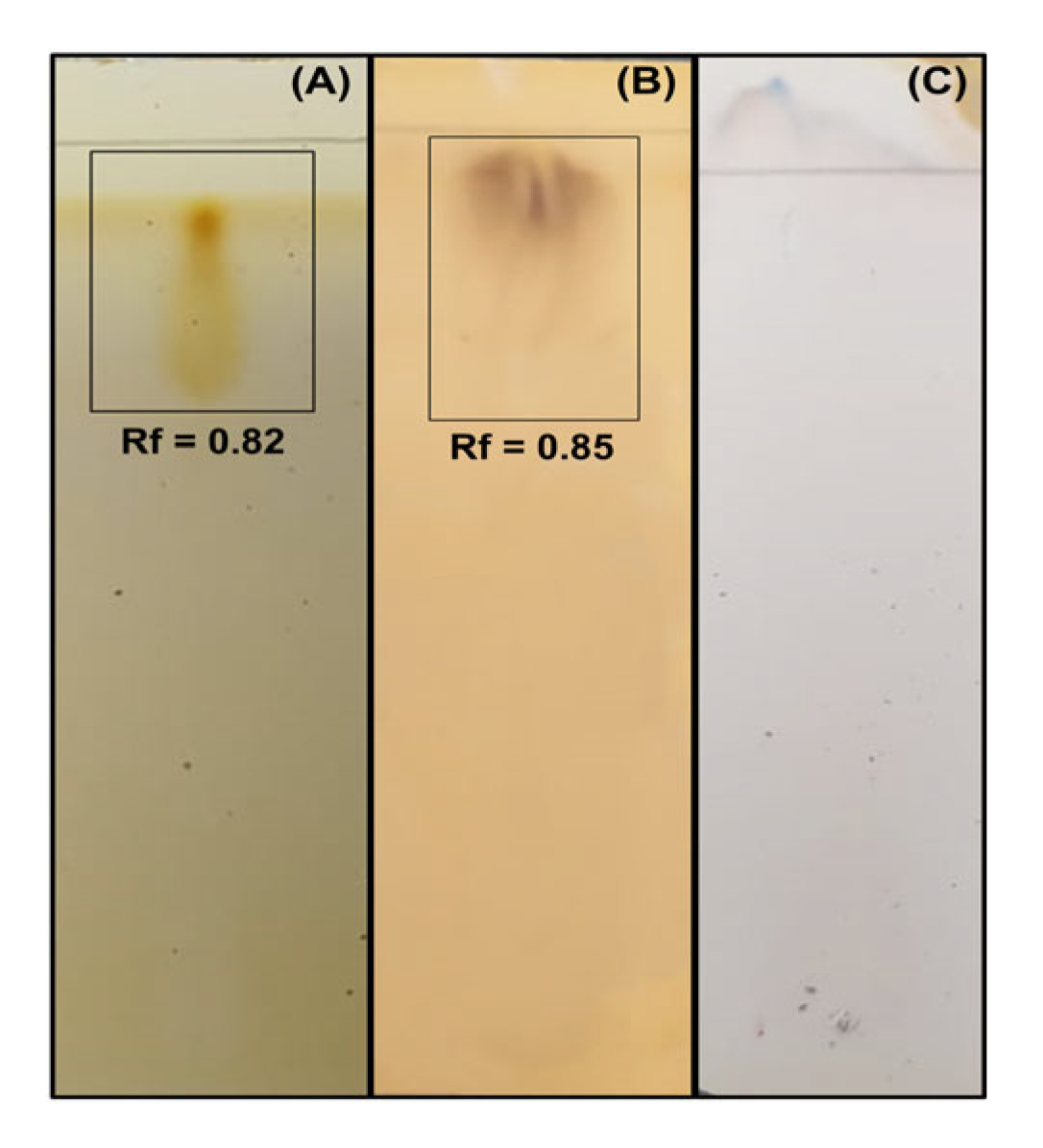 Fermentation 11 00471 g003 Fermentation 11 00471 g003