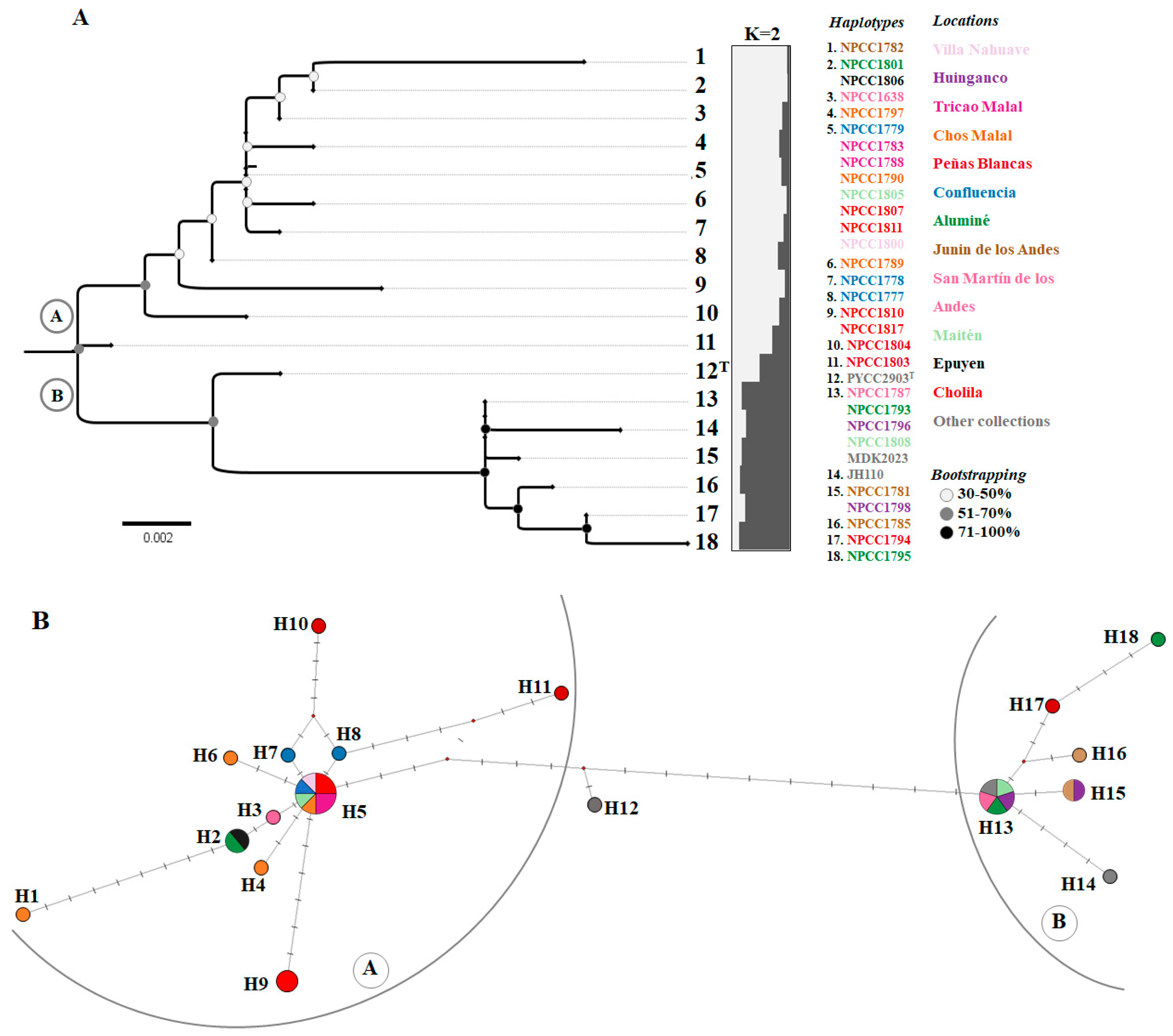 Fermentation 11 00494 g002