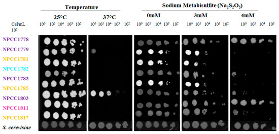 Fermentation 11 00494 g0a1
