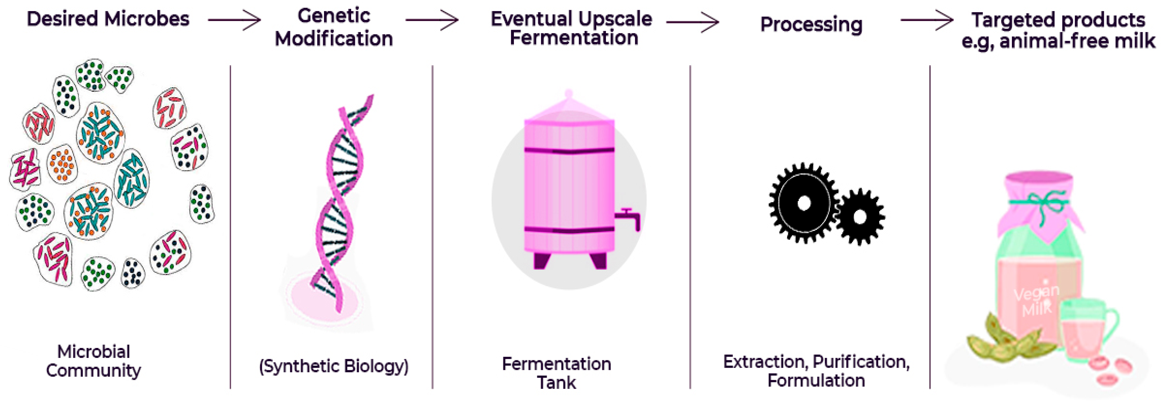 Fermentation 11 00509 g002 Fermentation 11 00509 g002