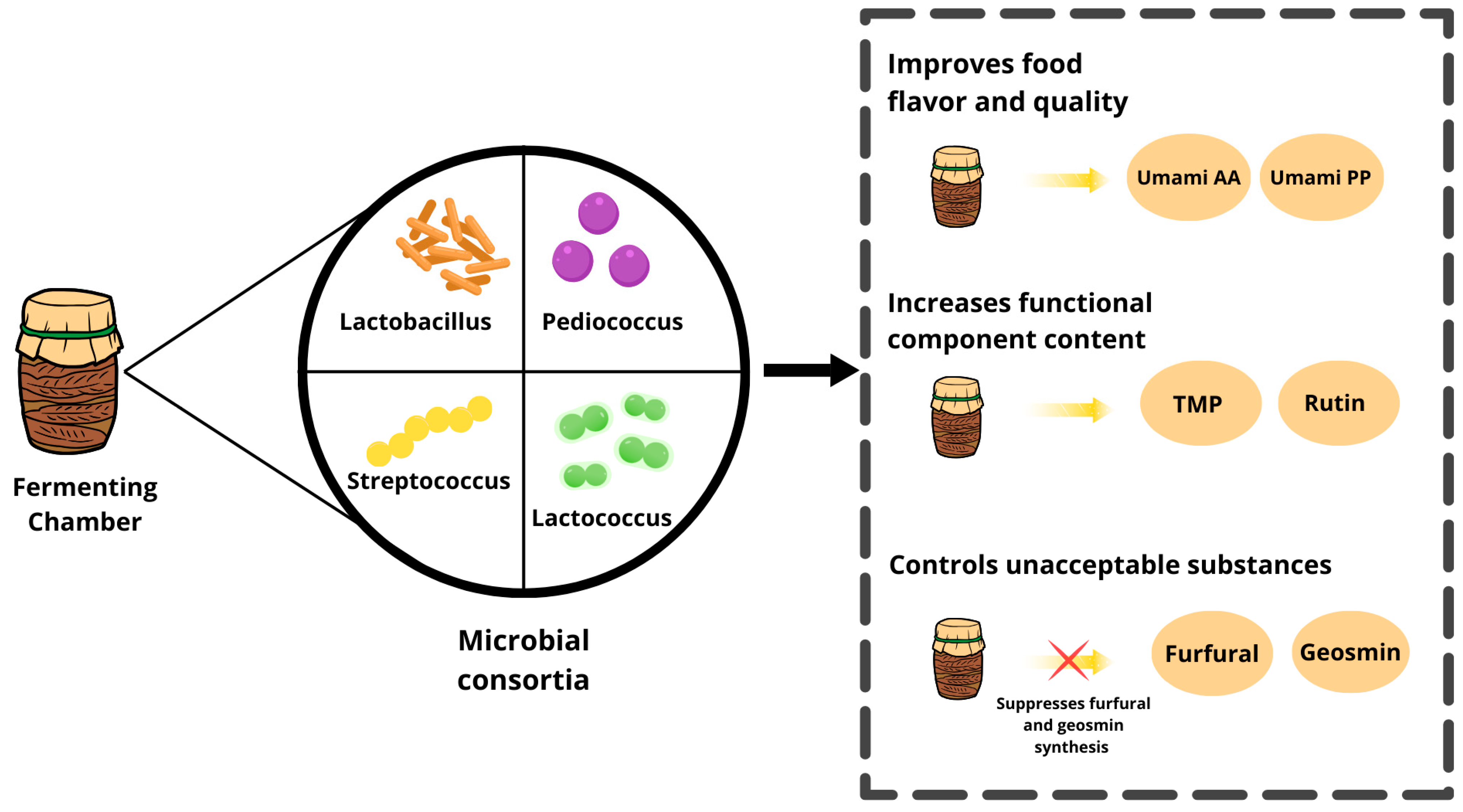 Fermentation 11 00509 g004 Fermentation 11 00509 g004