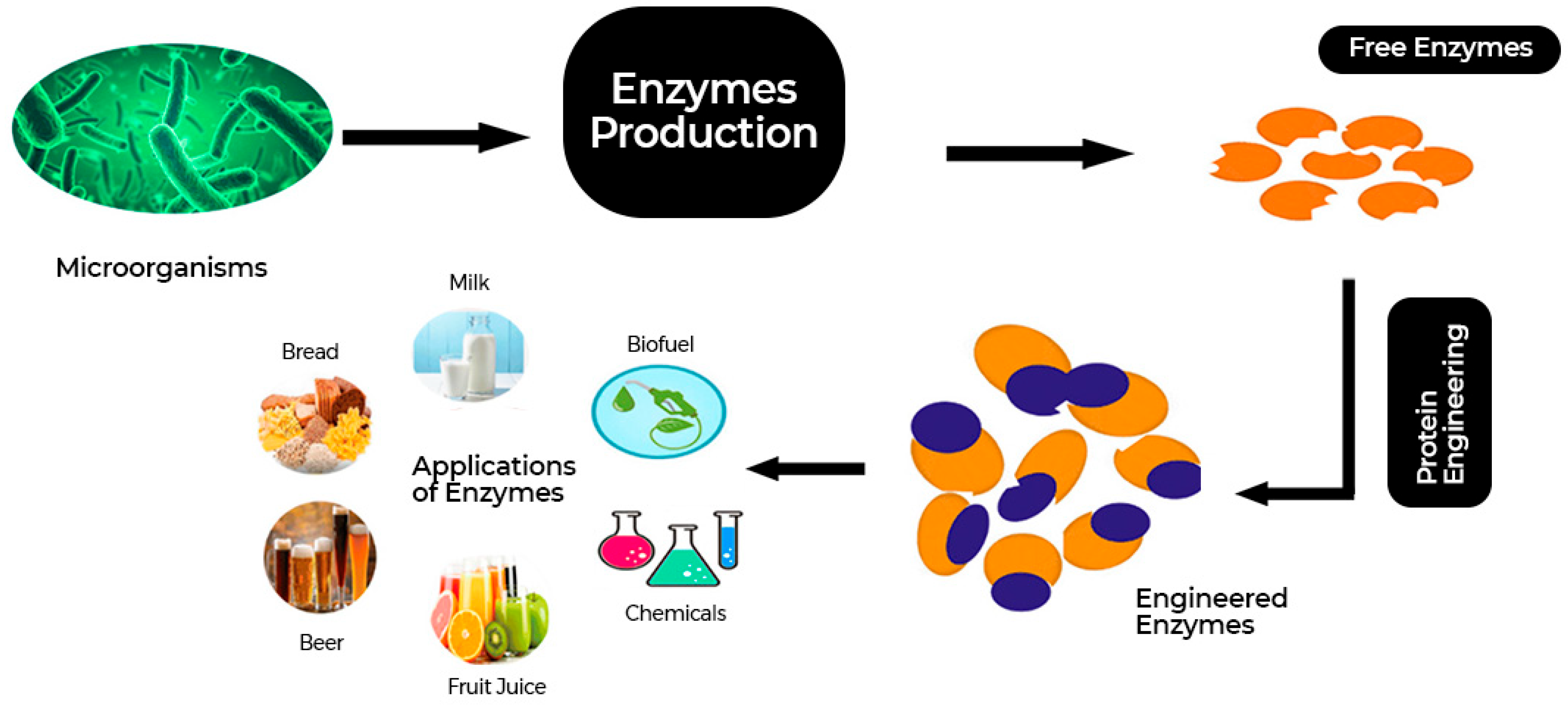Fermentation 11 00509 g006 Fermentation 11 00509 g006