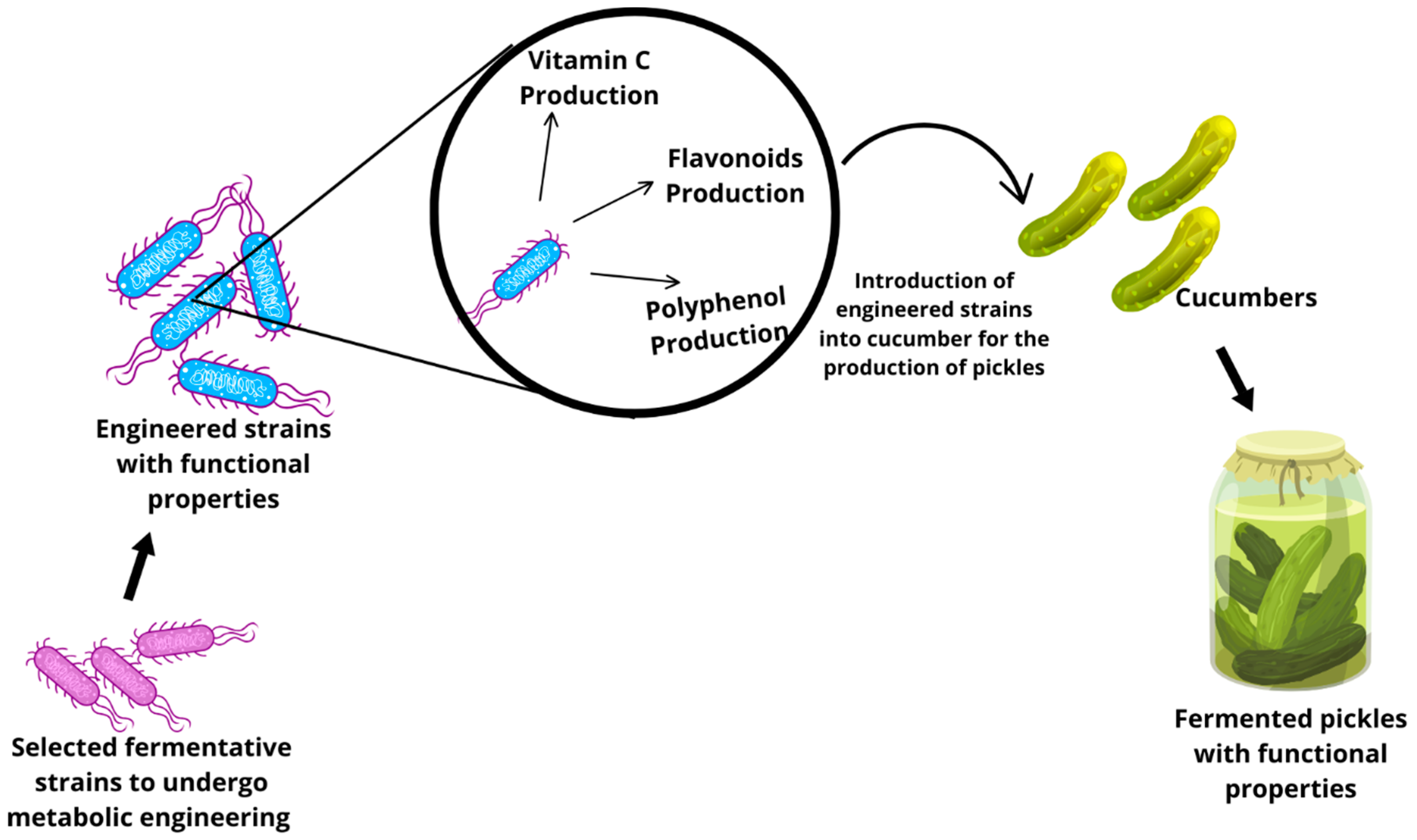 Fermentation 11 00509 g008 Fermentation 11 00509 g008
