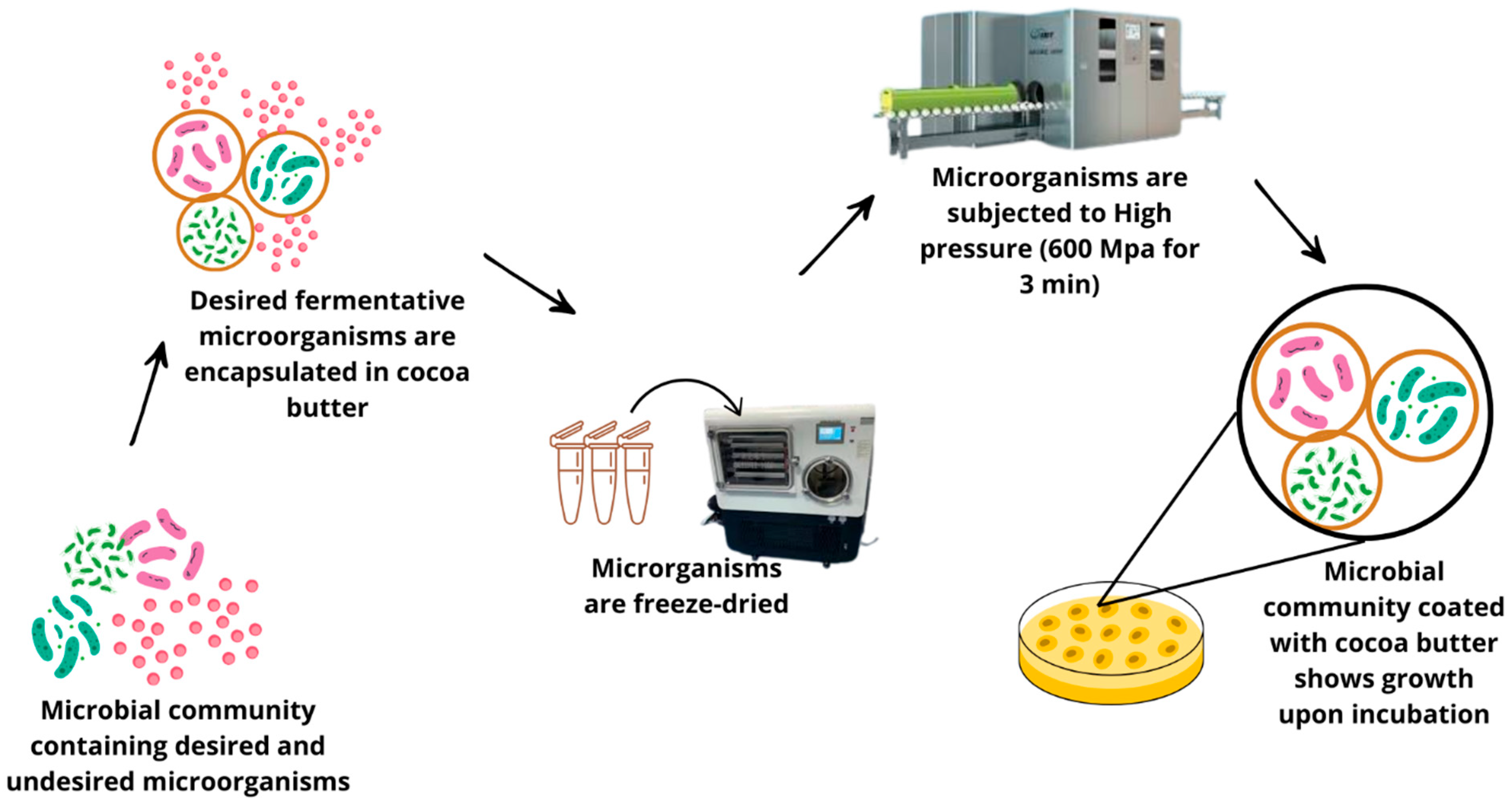 Fermentation 11 00509 g012 Fermentation 11 00509 g012