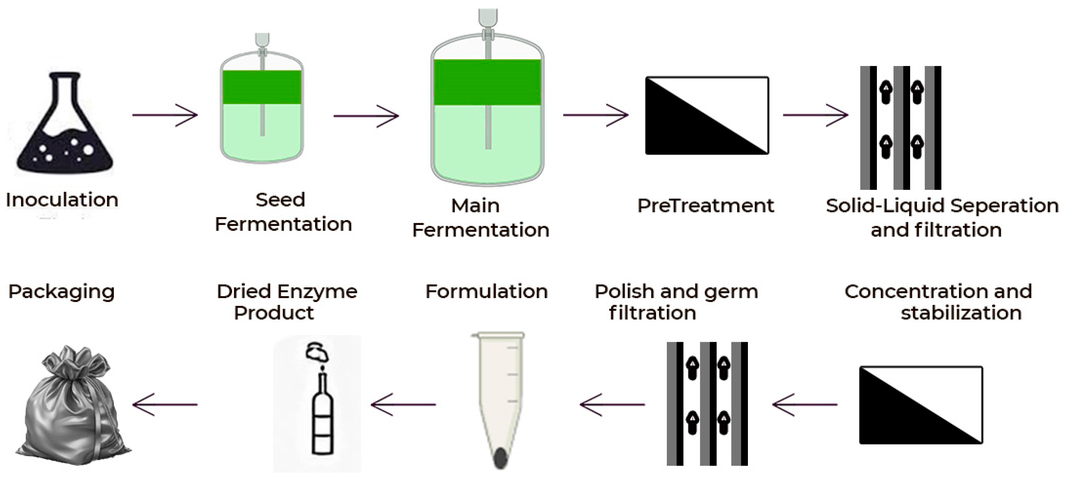 Fermentation 11 00509 g014 Fermentation 11 00509 g014