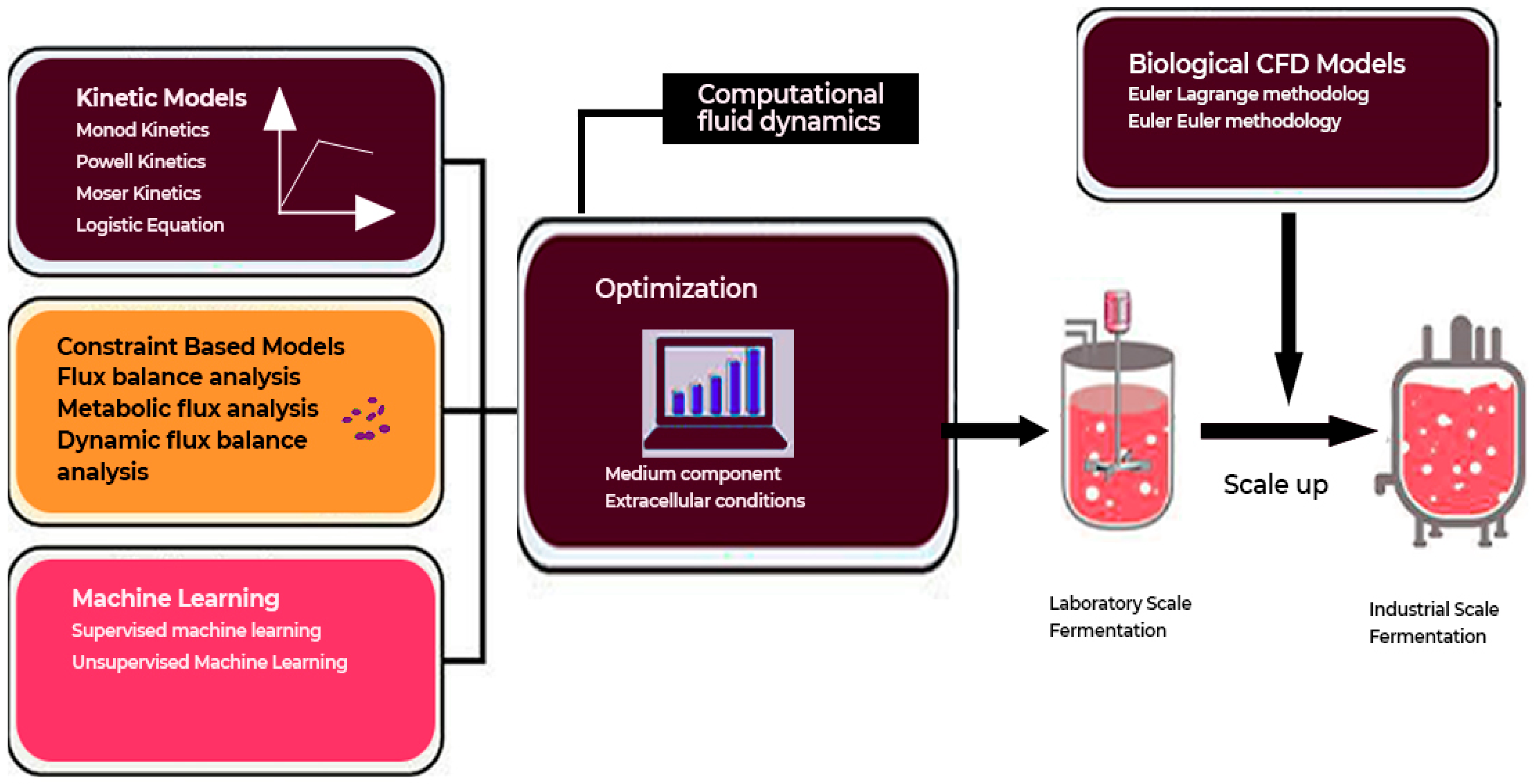Fermentation 11 00509 g016 Fermentation 11 00509 g016