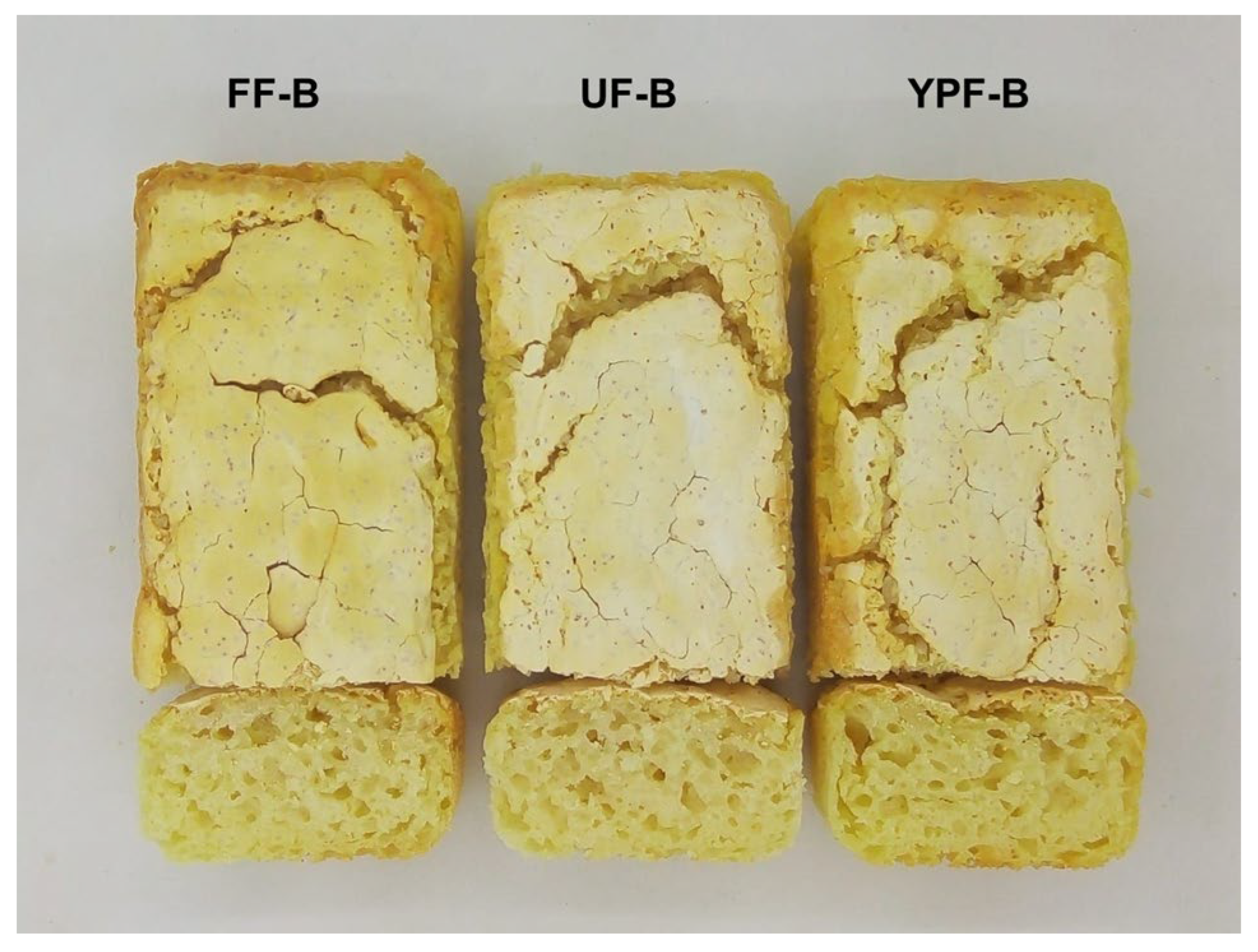 Fermentation 11 00521 g004
