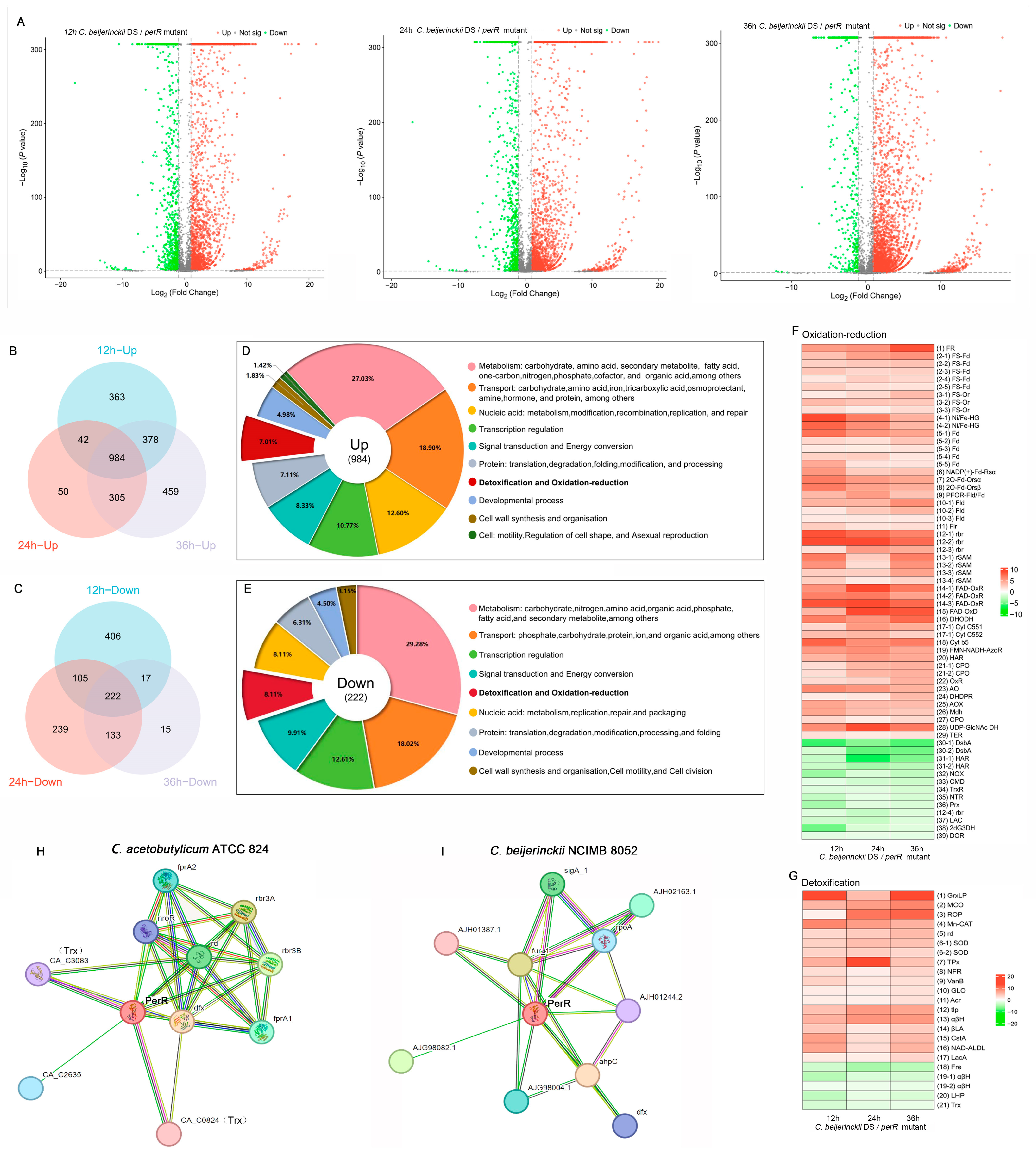 Fermentation 11 00526 g004 Fermentation 11 00526 g004