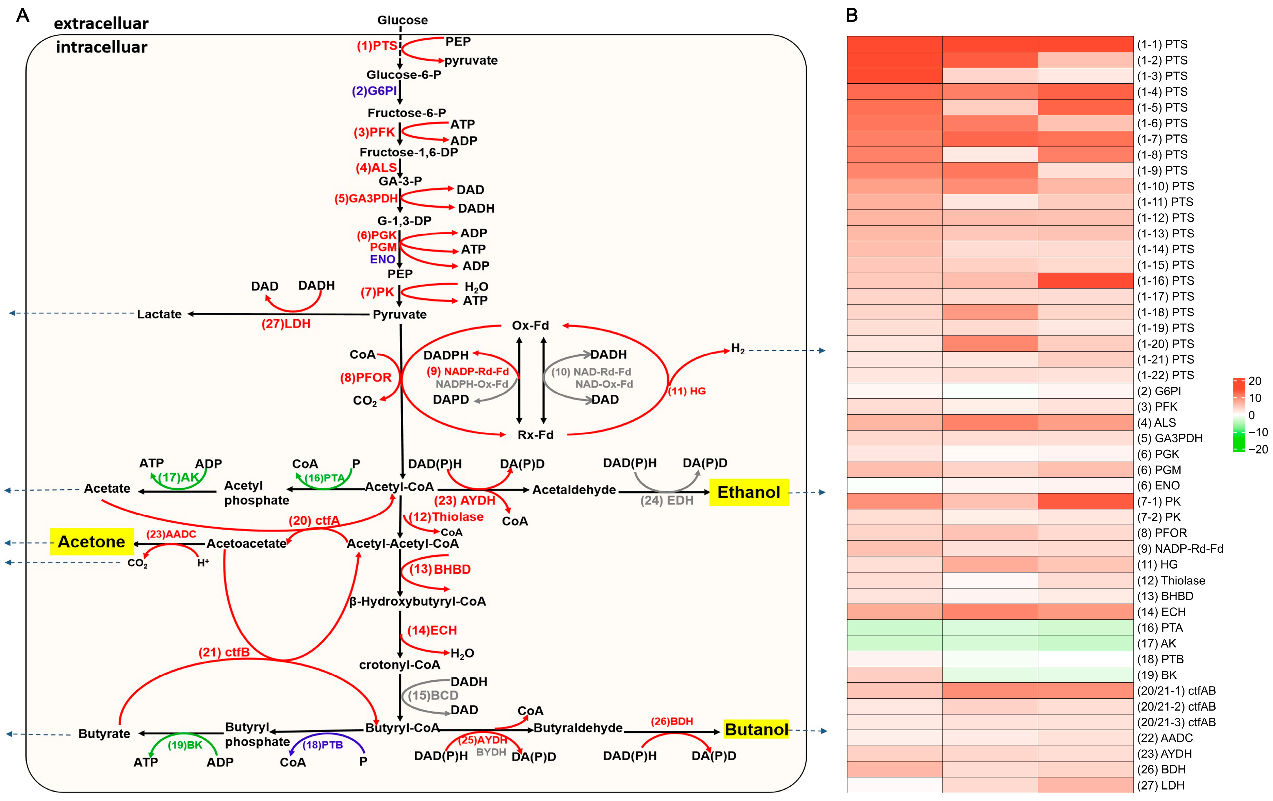 Fermentation 11 00526 g005 Fermentation 11 00526 g005